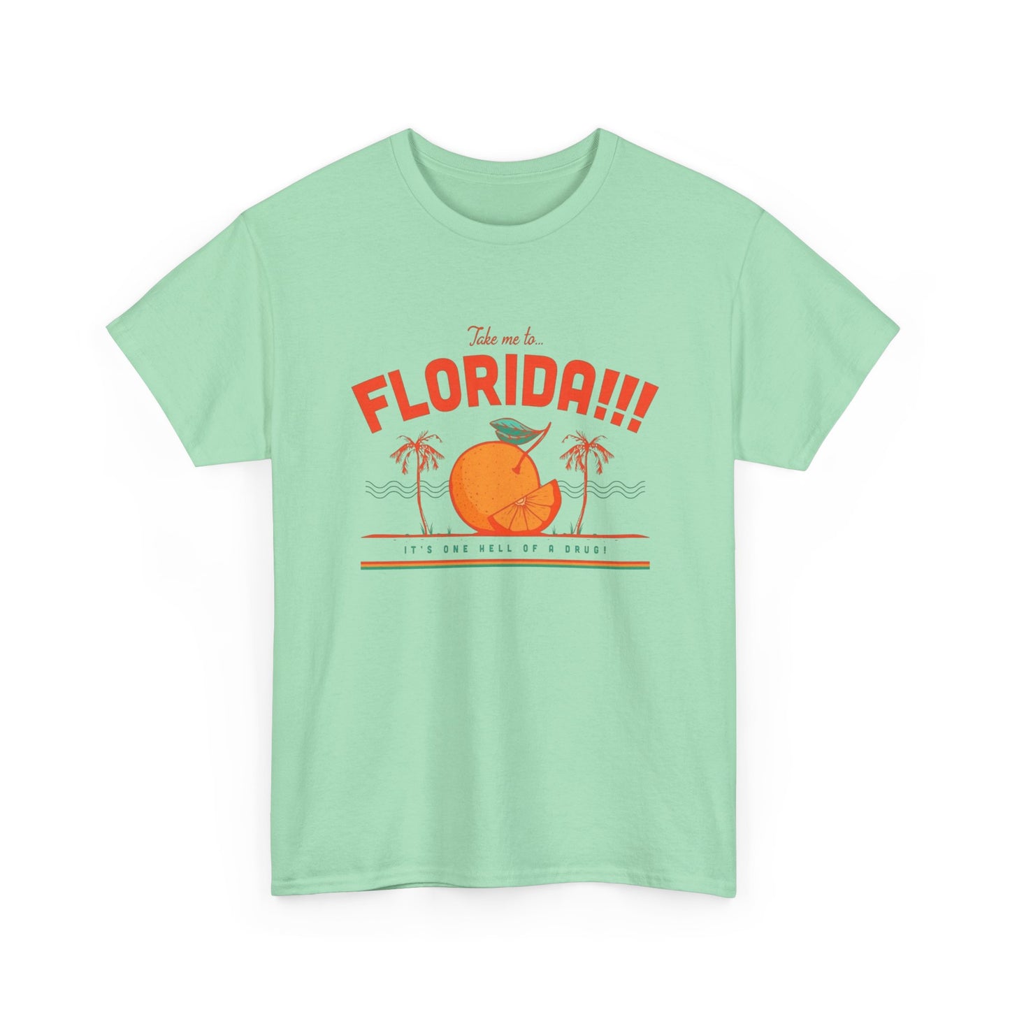 Take Me To Florida Funny Graphic T Shirt NEW Unisex Heavy Cotton Tee