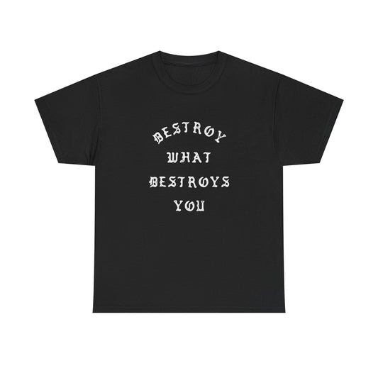 Destroy What Destroys You Graphic T Shirt NEW ADULT Heavy Cotton Tee