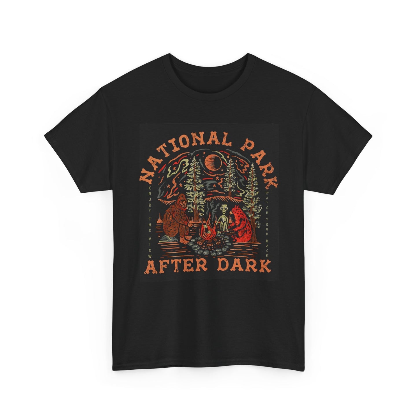 National Park After Dark Graphic T Shirt  Unisex Heavy Cotton Tee