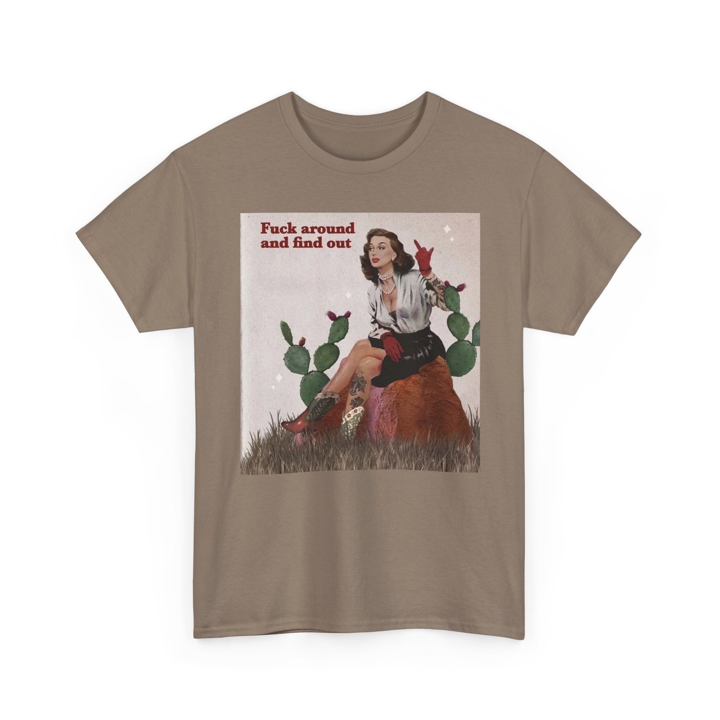 F Around And Find Out Vintage Graphic T-Shirt Women's Heavy Comfy Cotton Tee