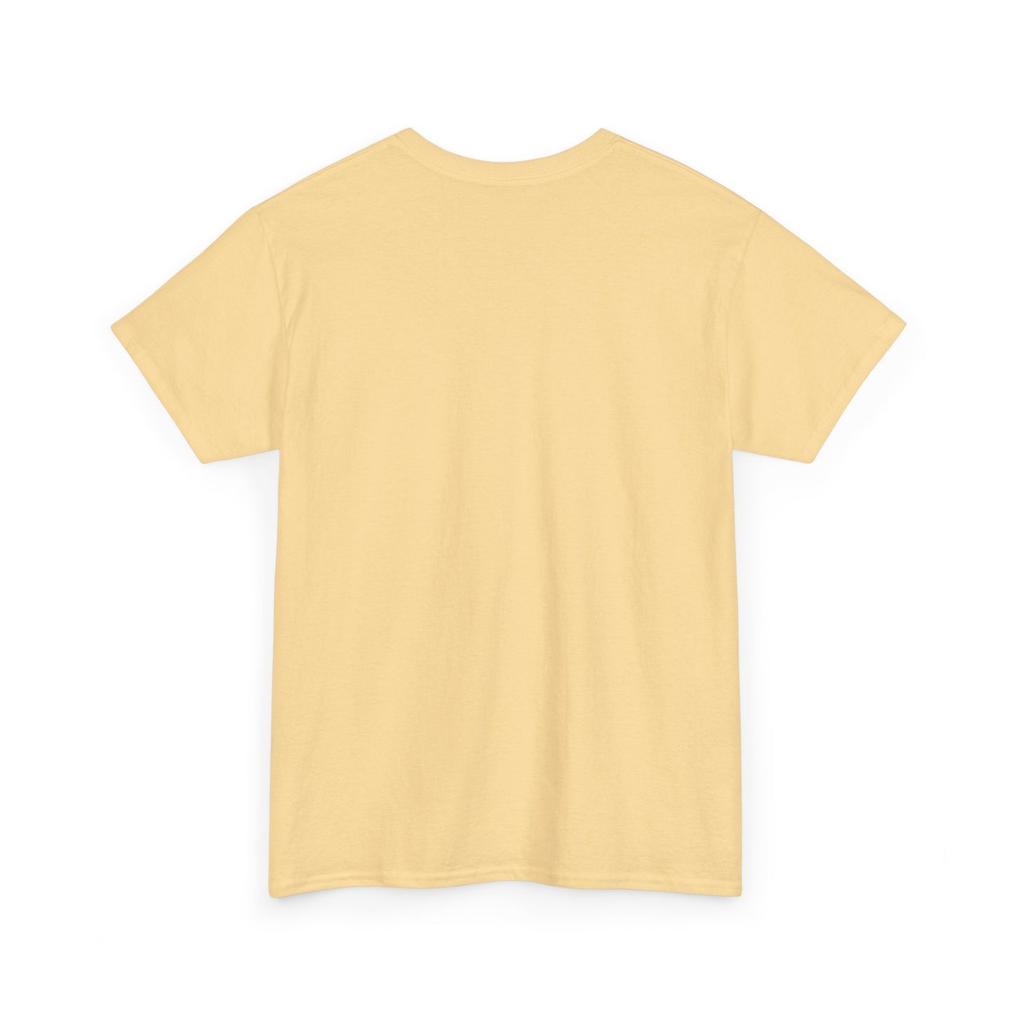Used To Care Now I Don't Graphic T Shirt Men's Heavy Cotton Tee Funny Retro