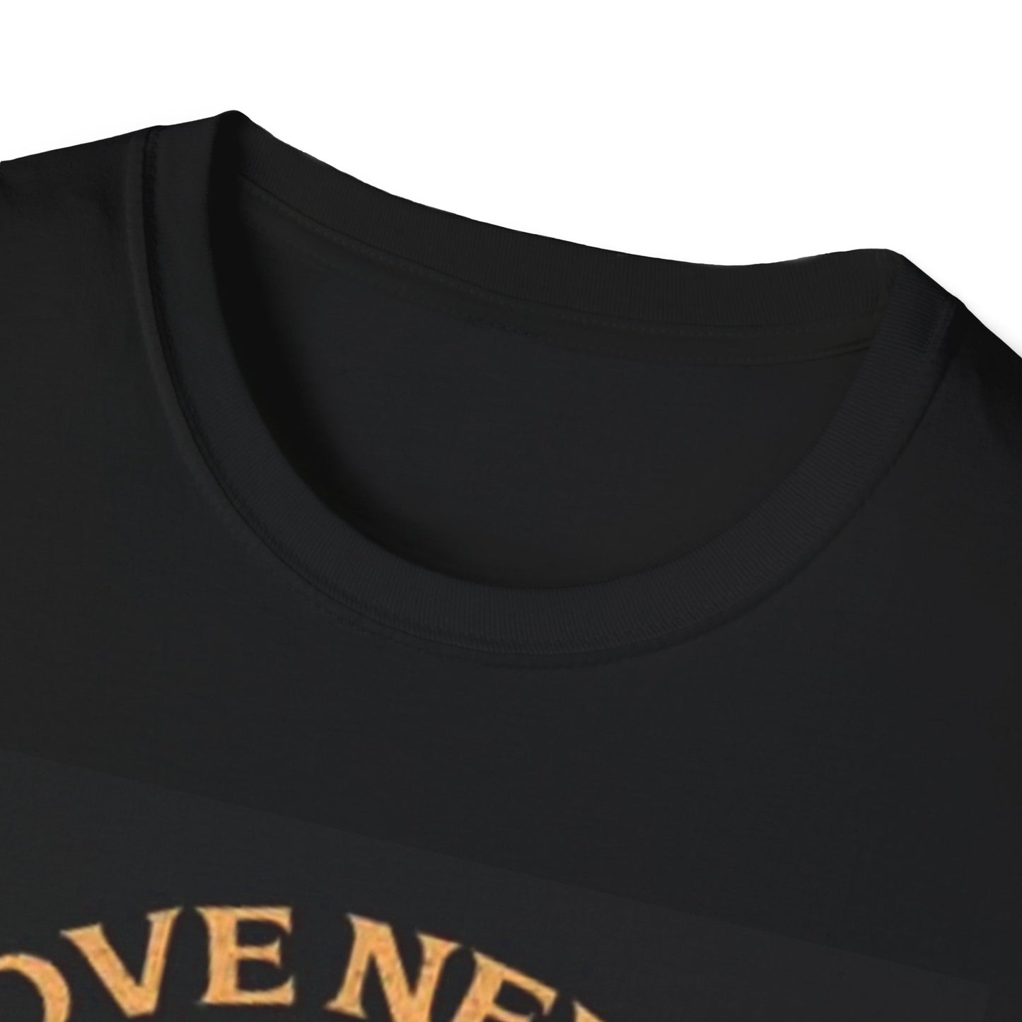 Love Never Dies Graphic T Shirt Retro Vintage Art Unisex Softstyle T-Shirt