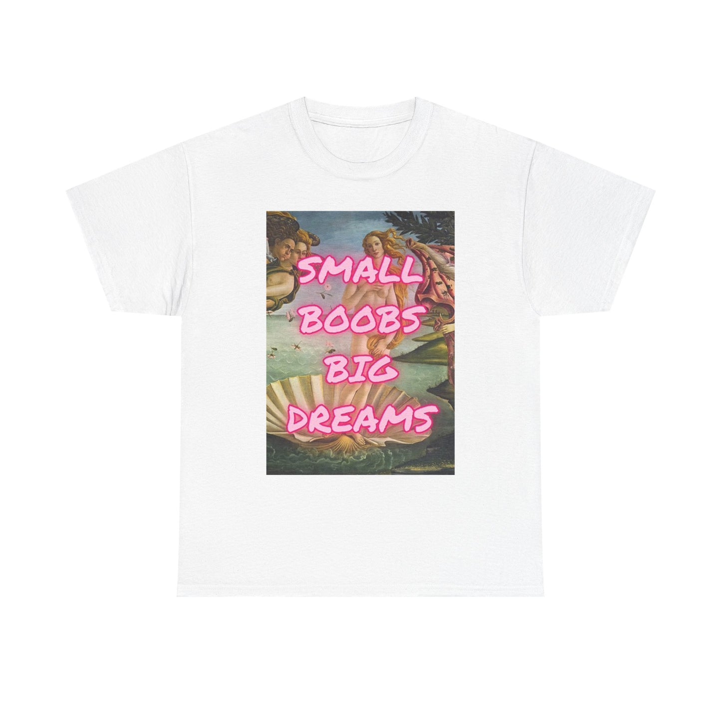 Small Boobs Big Dreams Graphic T Shirt Funny Jokes Gift Unisex Heavy Cotton Tee