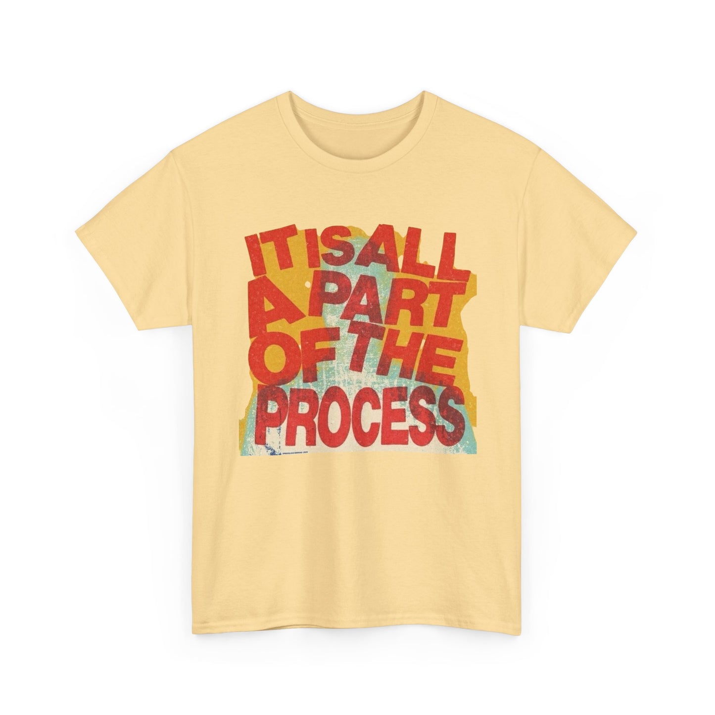 It's All Apart Of The Process Graphic T-Shirt Unisex Heavy Cotton Tee Gift