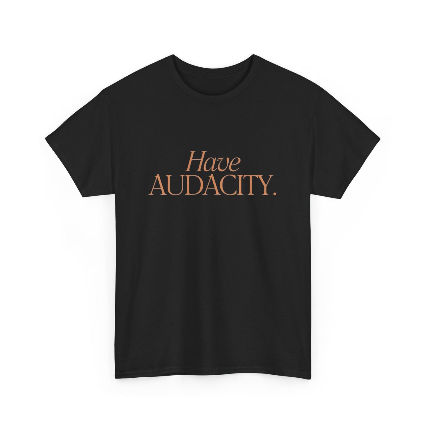 Have Audacity Graphic T Shirt NEW ADULT TEE VINTAGE