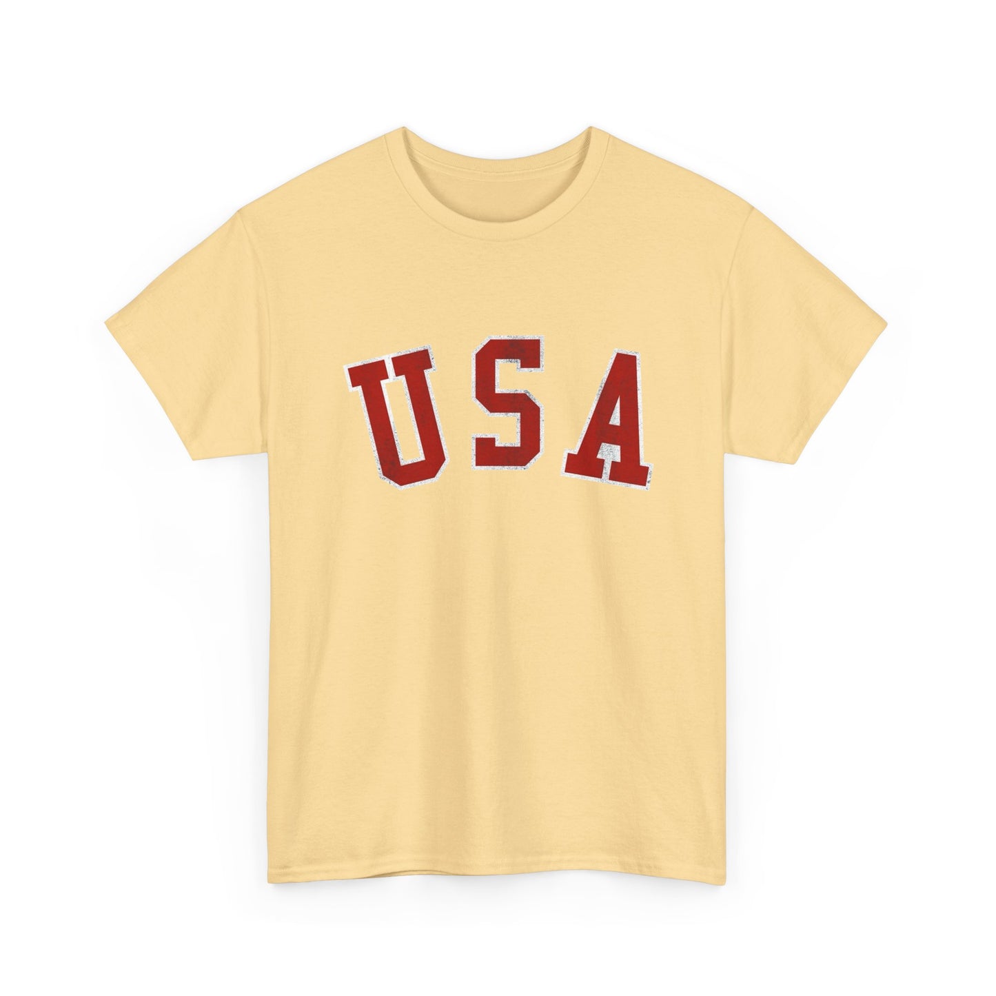 USA Graphic T Shirt NEW ADULT