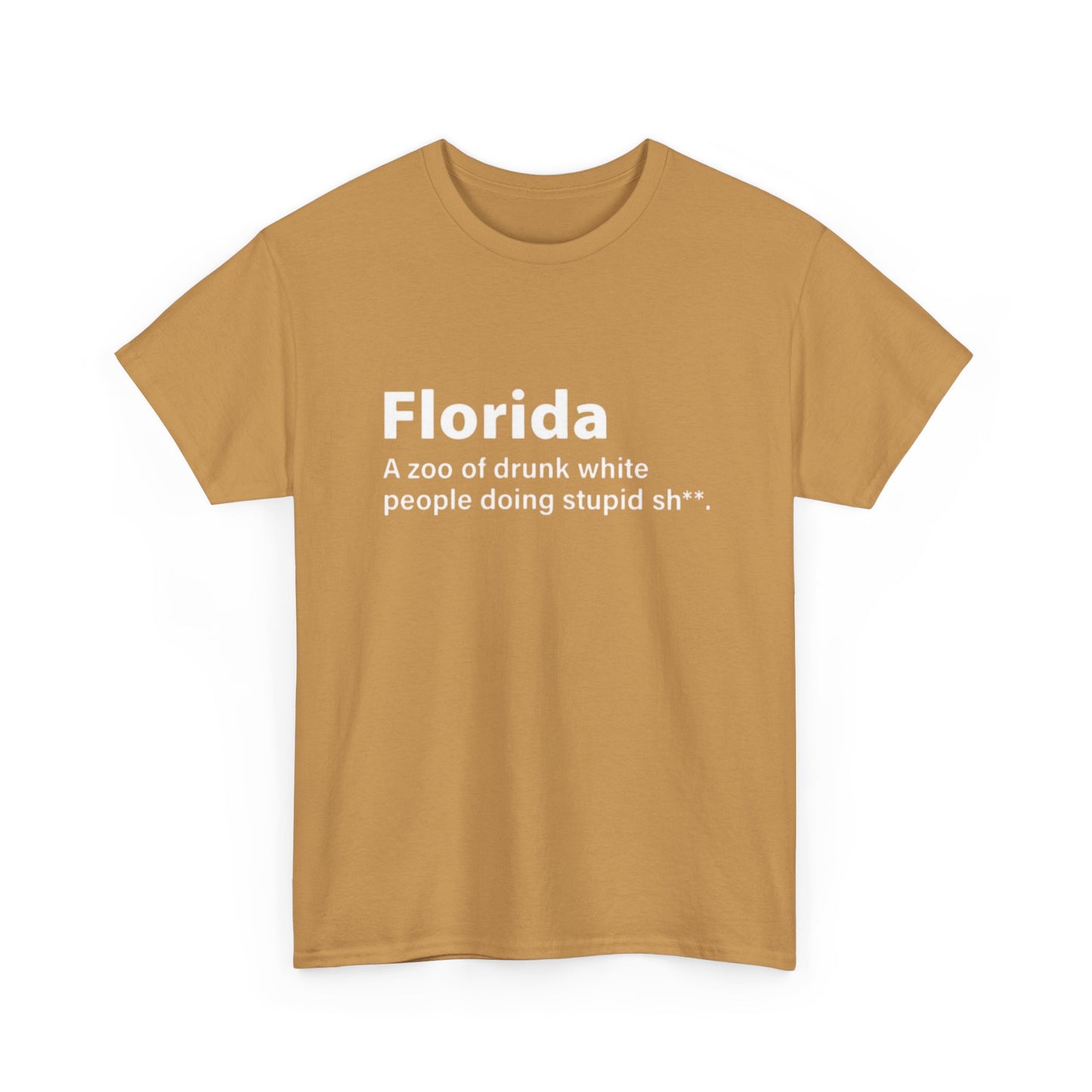Florida Funny True Graphic T Shirt Jokes Comedy Gift Tampa Unisex Heavy Cotton