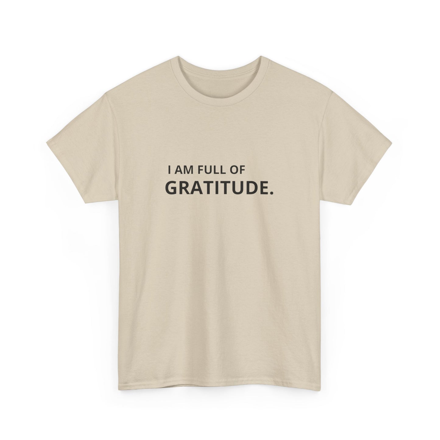 I Am Full Of Gratitude Graphic T Shirt NEW ADULT Tee