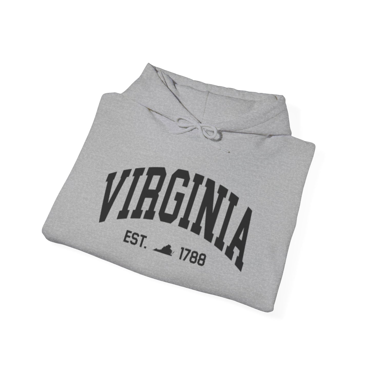 Virginia State Graphic Hoodie Unisex Heavy Blend™ Hooded Sweatshirt