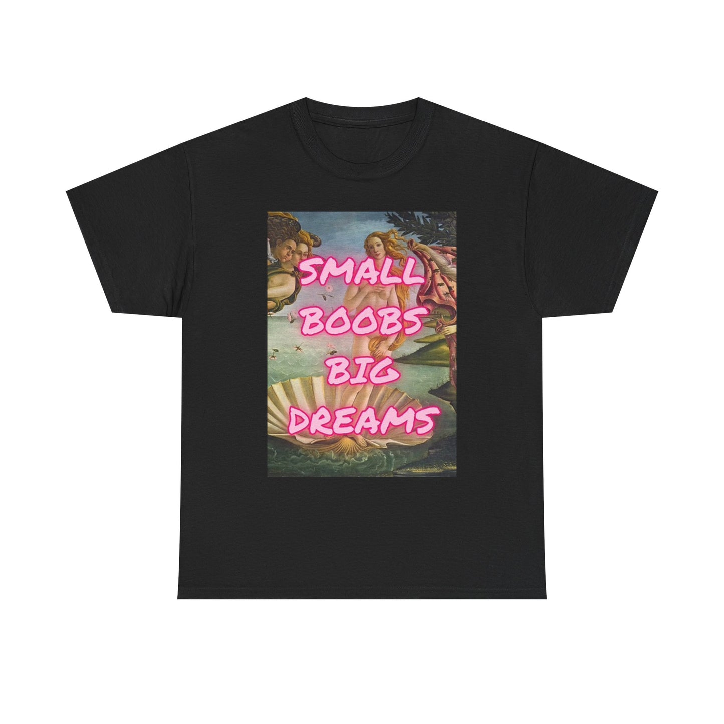 Small Boobs Big Dreams Graphic T Shirt Funny Jokes Gift Unisex Heavy Cotton Tee