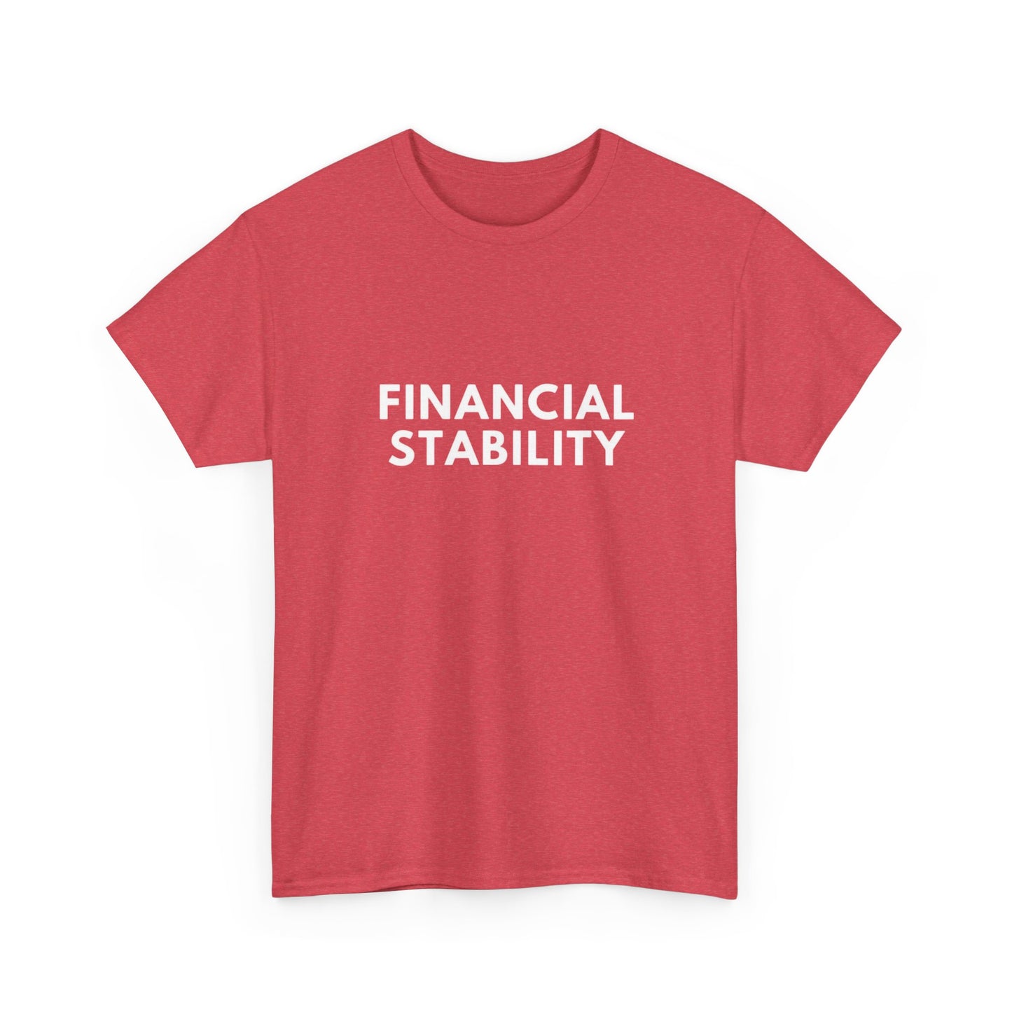 Financial Stability Graphic T Shirt NEW ADULT Tee