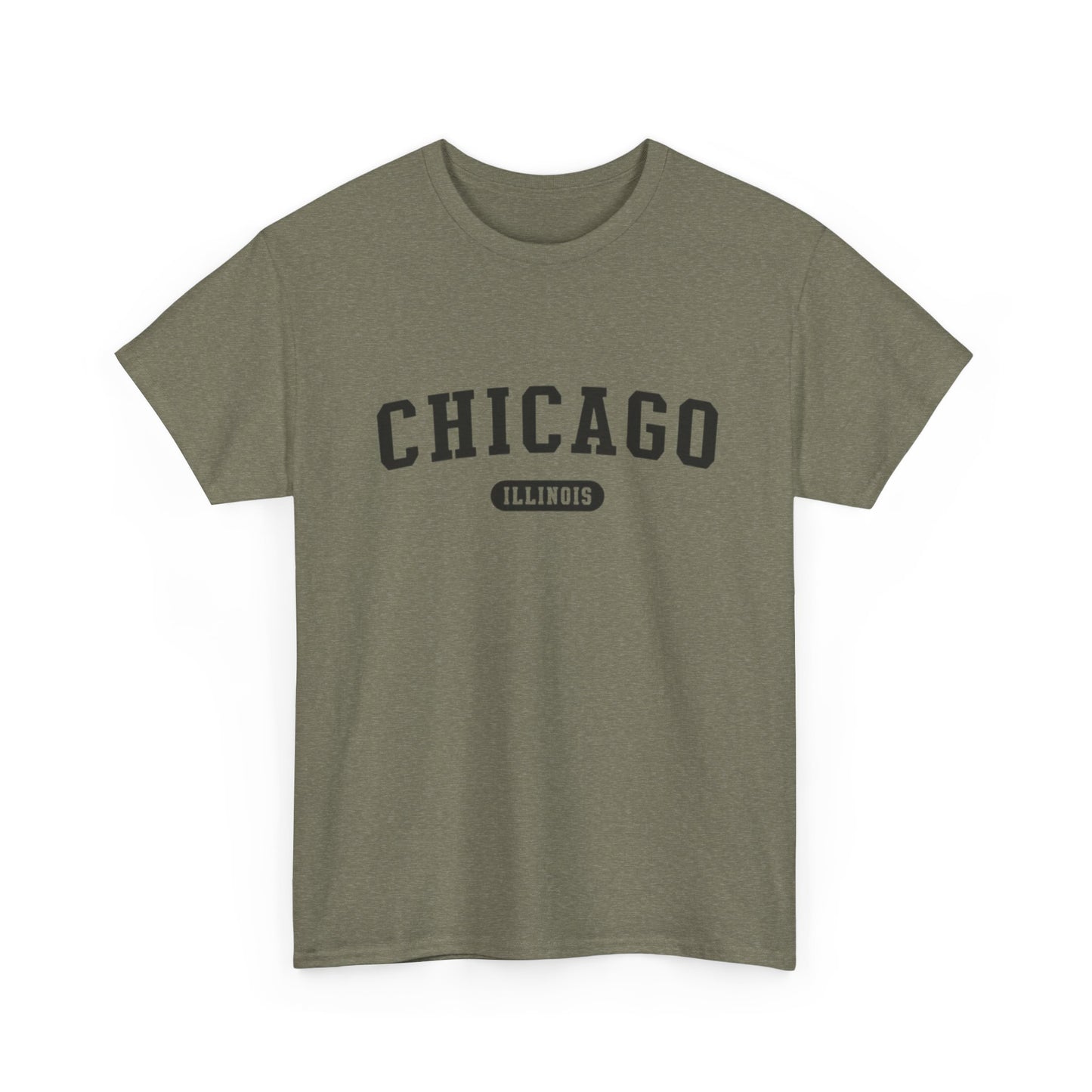 Chicago Illinois Graphic T Shirt ADULT NEW
