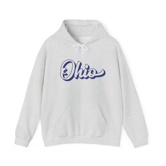 Ohio Graphic Hoodie Unisex Heavy Blend™ Hooded Sweatshirt