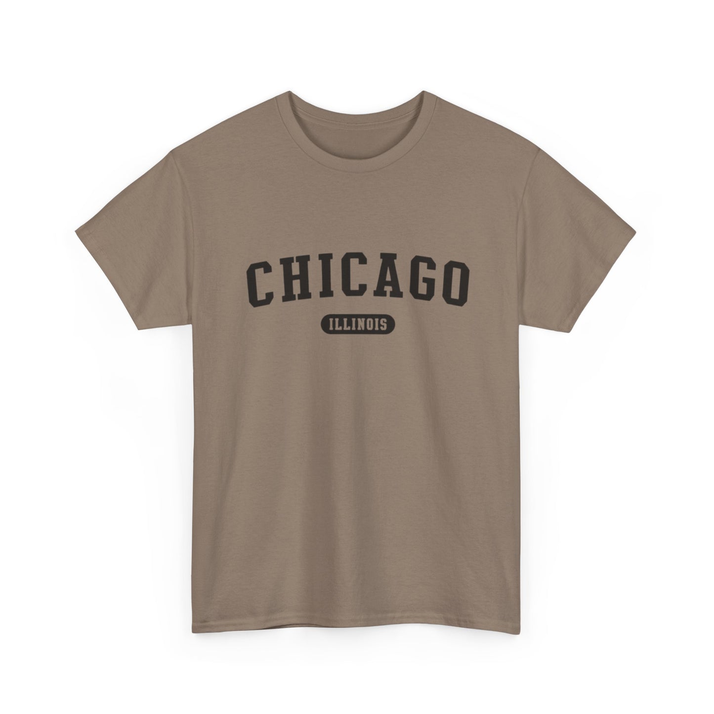 Chicago Illinois Graphic T Shirt ADULT NEW