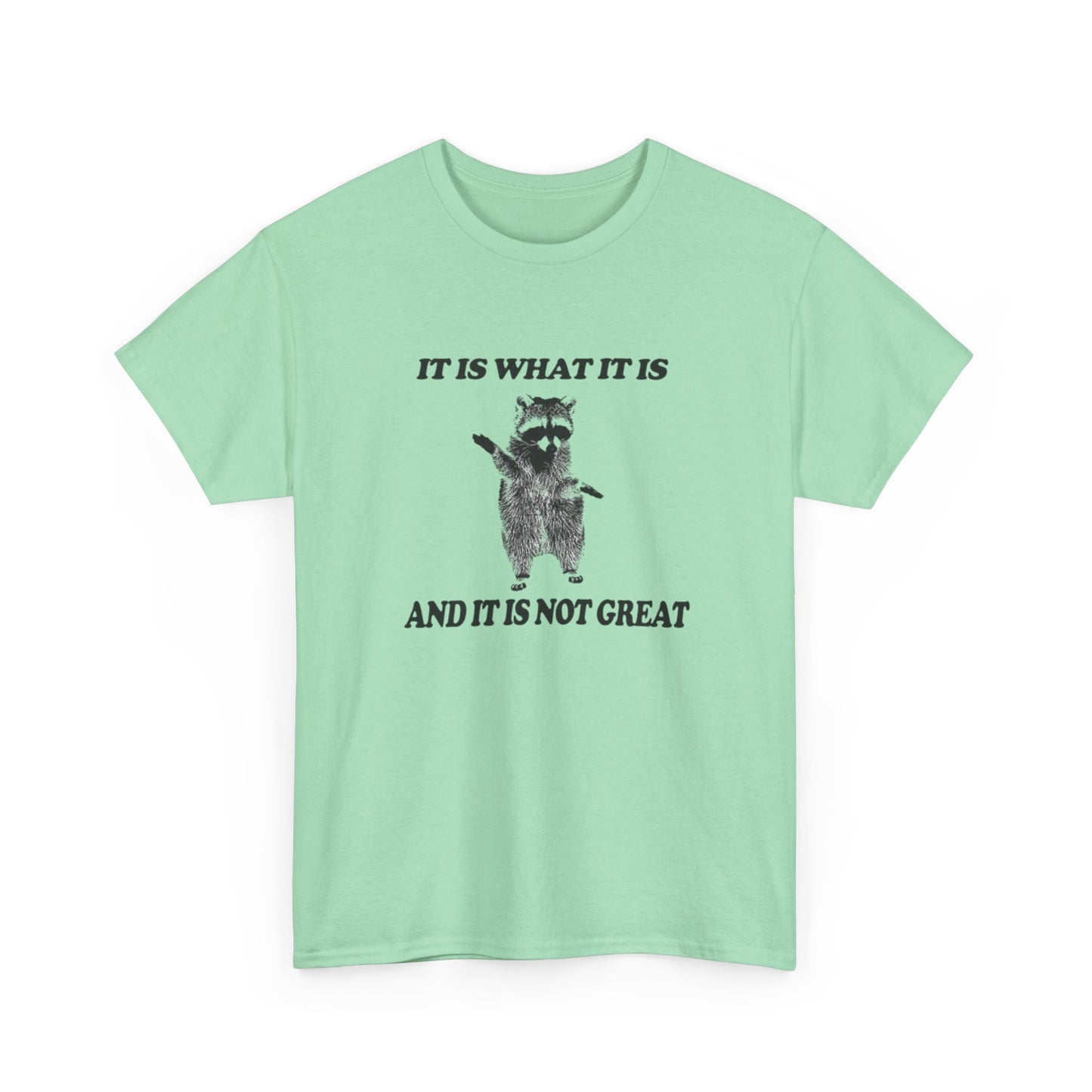 It Is What It Is Funny Raccoon Graphic T Shirt Unisex Heavy Cotton Tee