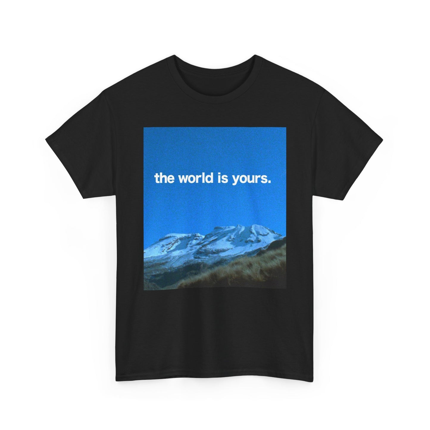 The World Is Yours Graphic T Shirt ADULT NEW Heavy Cotton Tee