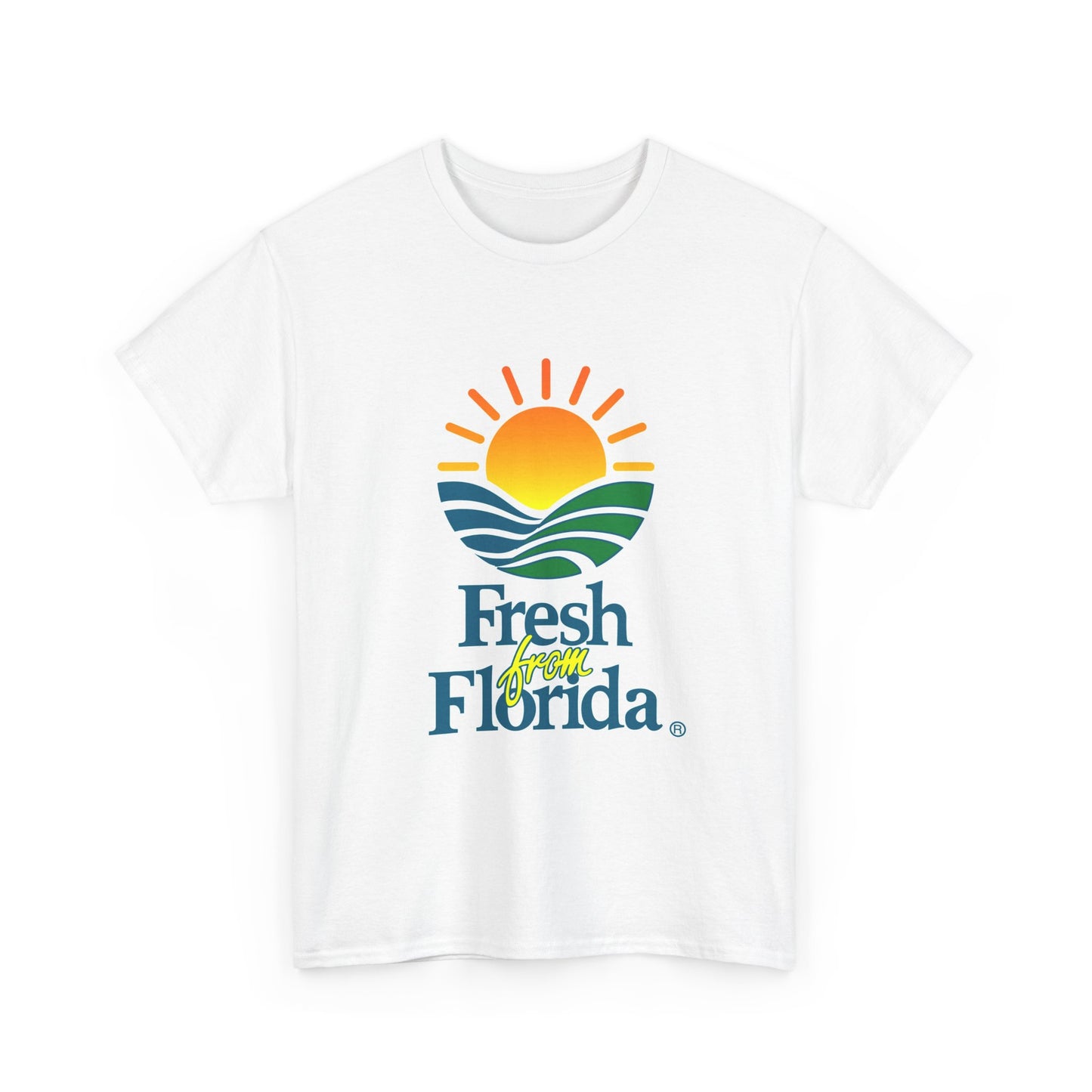 Florida Graphic Tshirt Summer Beach Miami Tampa Merch Unisex Heavy Cotton Tee