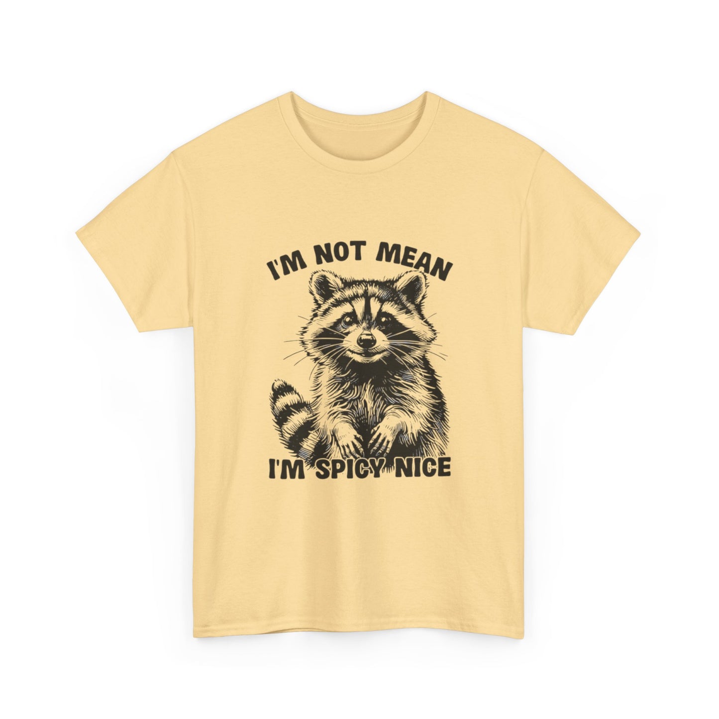 I'm Not Mean I'm Spicy Nice Funny Graphic T Shirt Unisex Heavy Cotton Tee