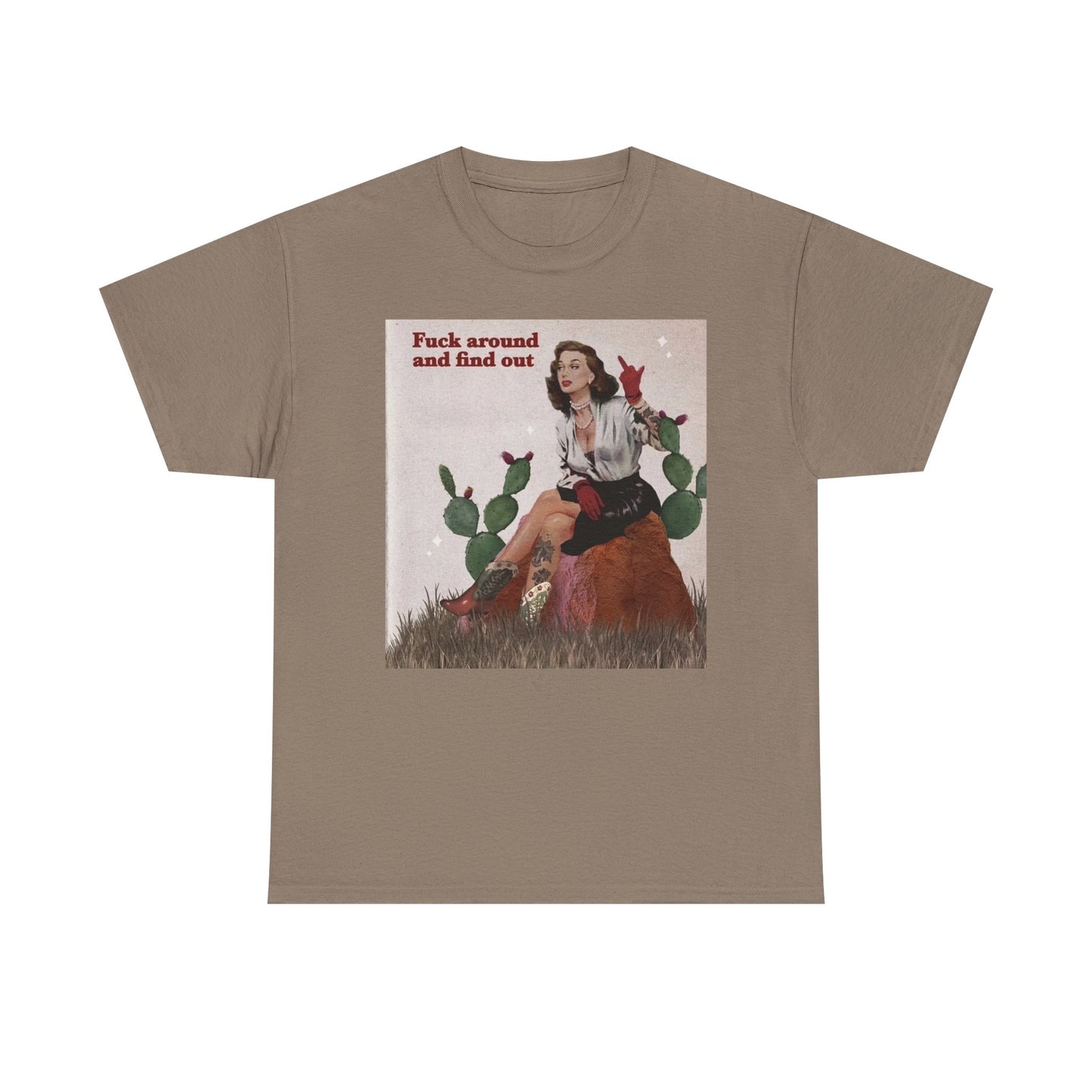 F Around And Find Out Vintage Graphic T-Shirt Women's Heavy Comfy Cotton Tee