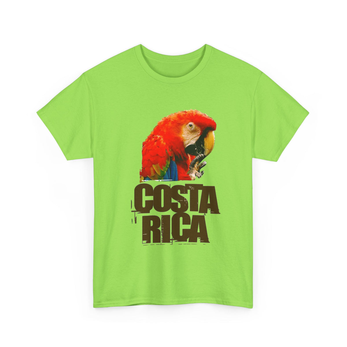 Costa Rica Birds Graphic T Shirt Men's Retro  Heavy Cotton Tee