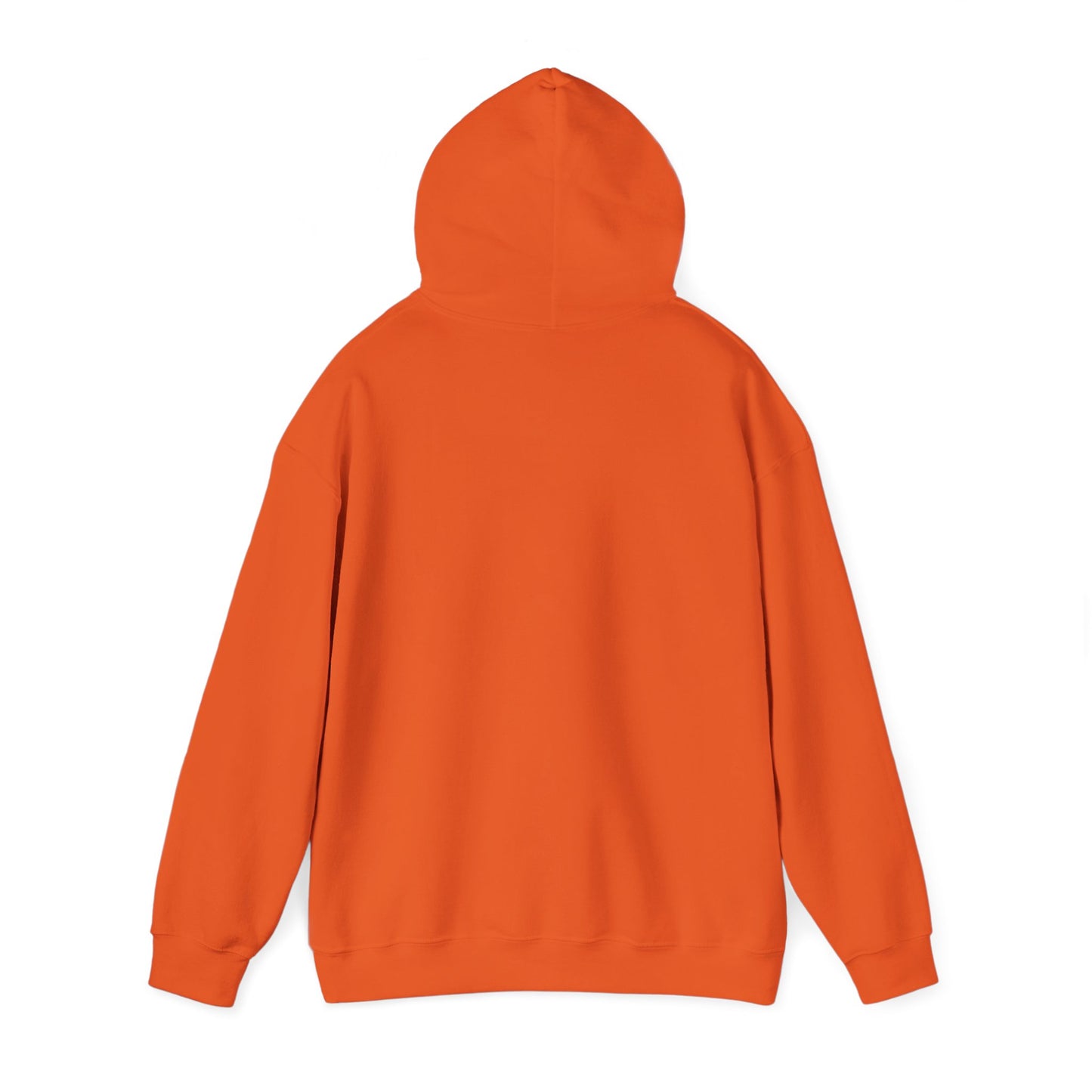 Polaris Retro Hoodie NEW ADULT Unisex Hooded Sweatshirt