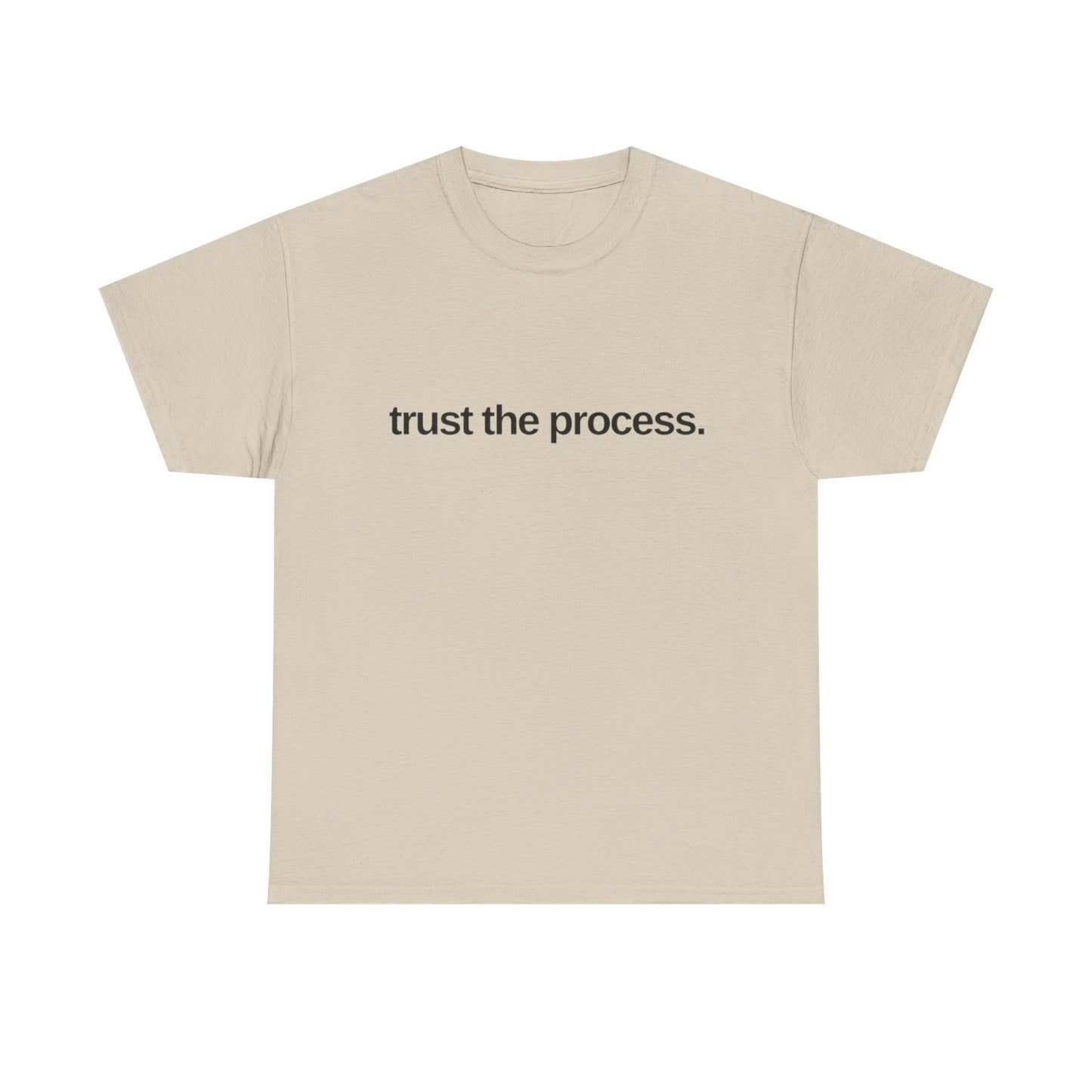Trust The Process Graphic T Shirt NEW ADULT Tee