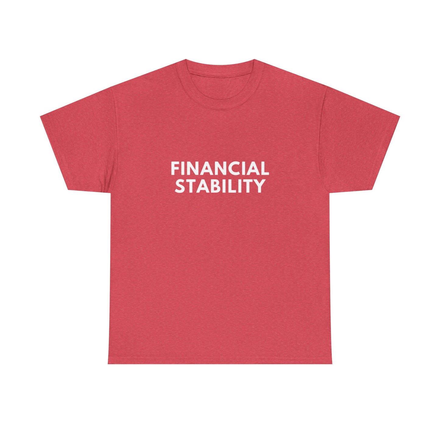 Financial Stability Graphic T Shirt NEW ADULT Tee