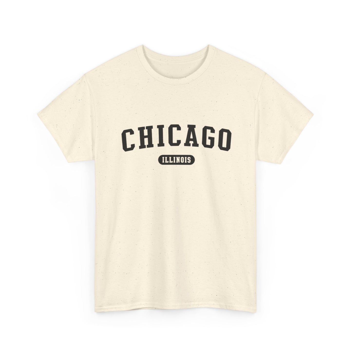 Chicago Illinois Graphic T Shirt ADULT NEW