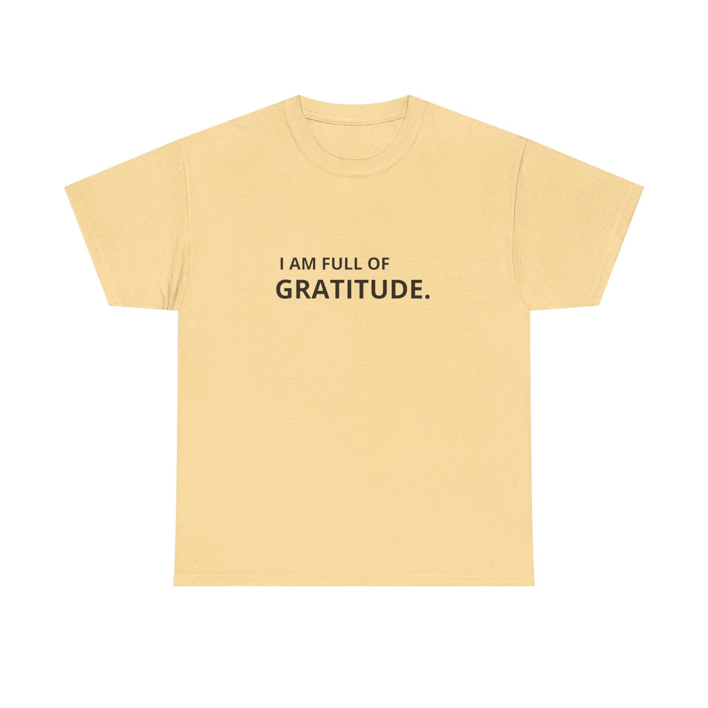 I Am Full Of Gratitude Graphic T Shirt NEW ADULT Tee