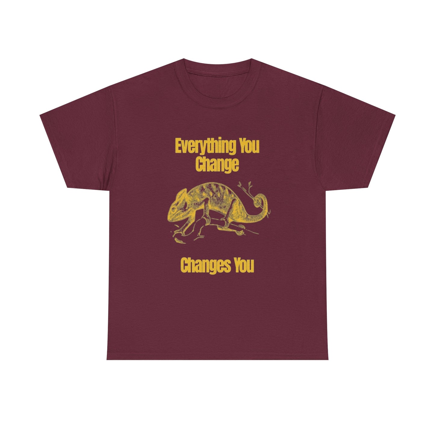 Everything You Change Changes You Graphic T Shirt Unisex Heavy Cotton Tee