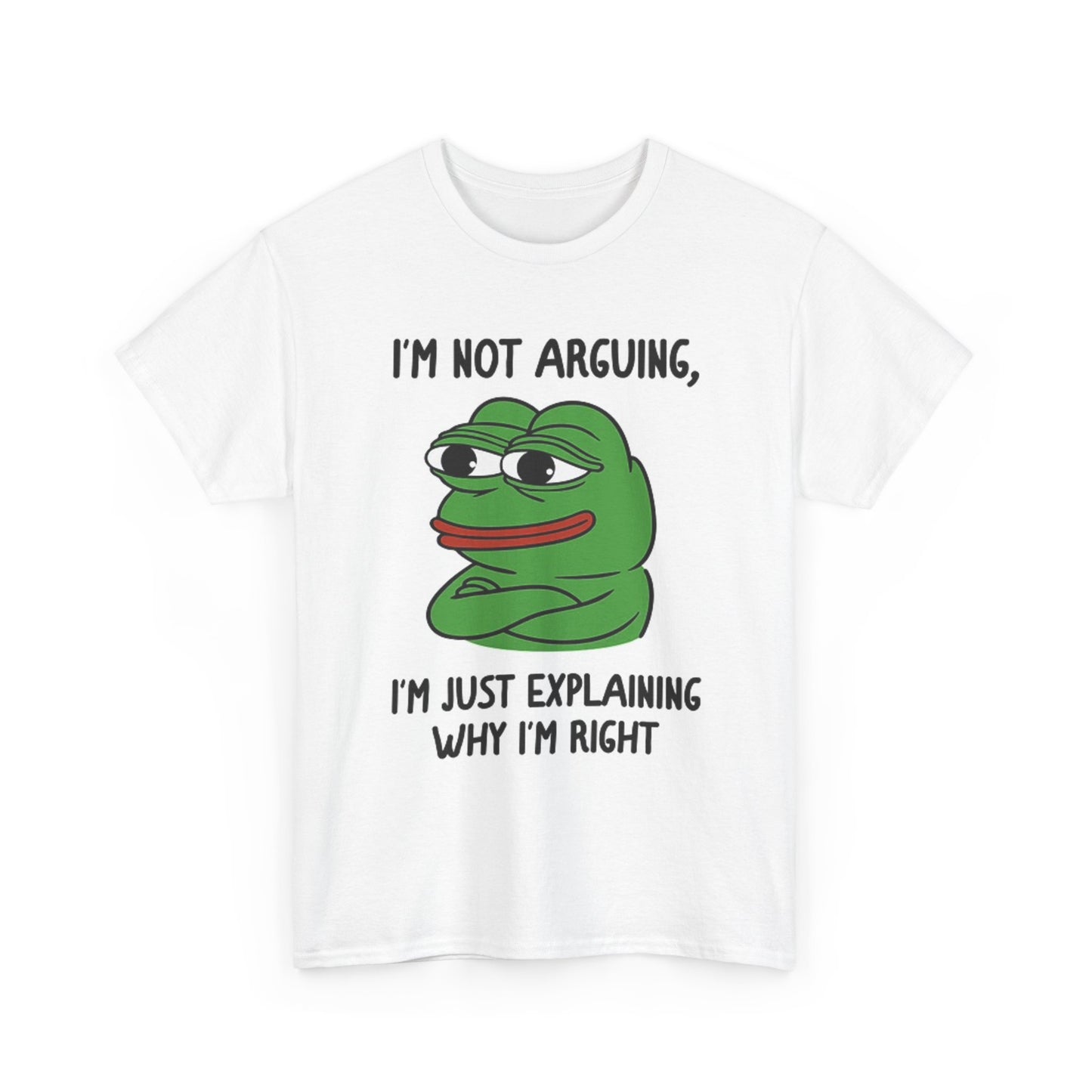 I'm Not Arguing Graphic T Shirt Funny Jokes Unisex Heavy Cotton Tee