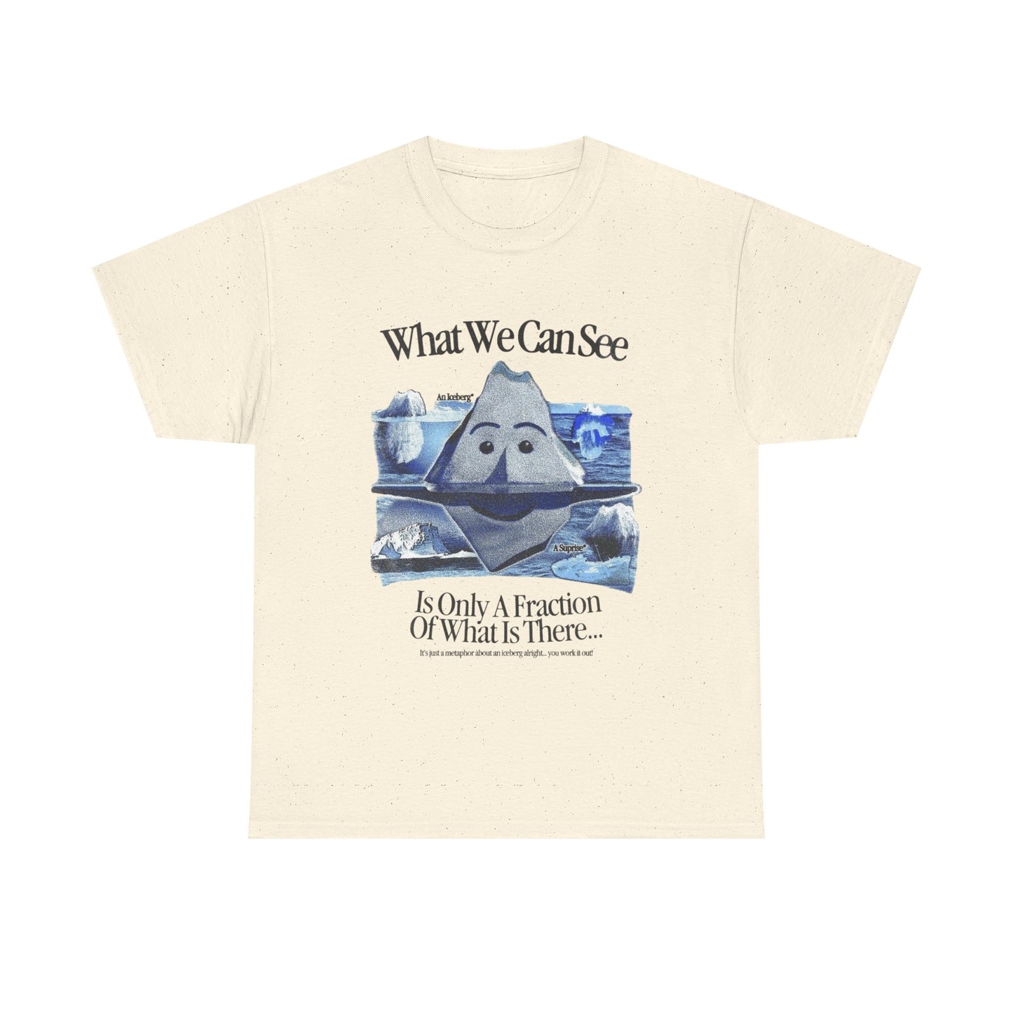 What We Can See Iceberg Graphic T Shirt Unisex Gift New AMERICAN VINTAGE