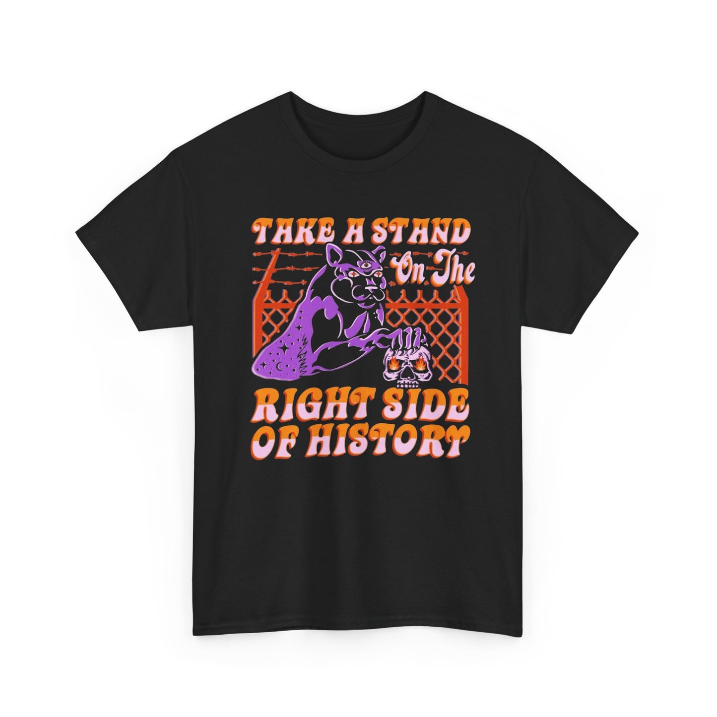 Take A Stand On The Right Side Of History Graphic T Shirt Unisex Heavy Cotton