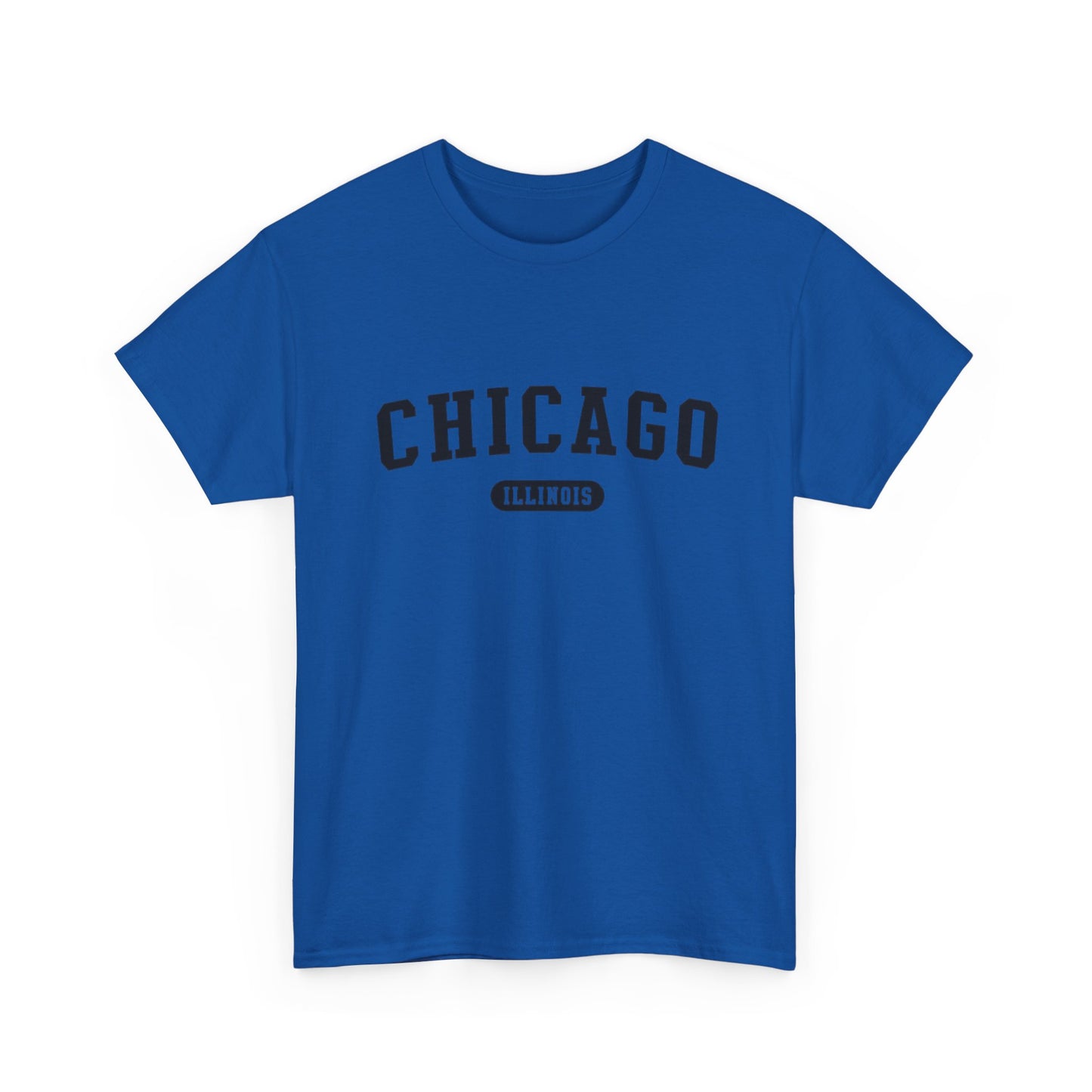 Chicago Illinois Graphic T Shirt ADULT NEW