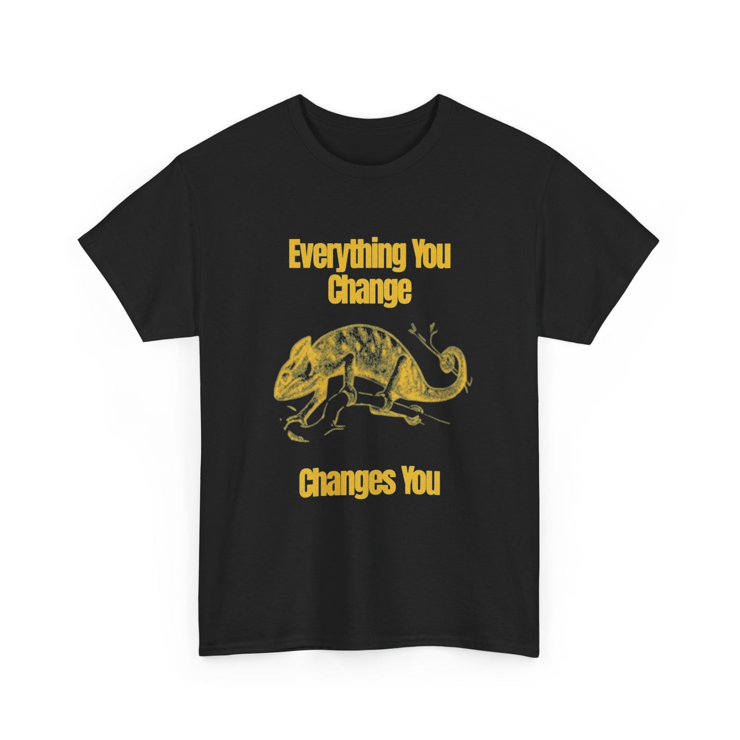 Everything You Change Changes You Graphic T Shirt Unisex Heavy Cotton Tee