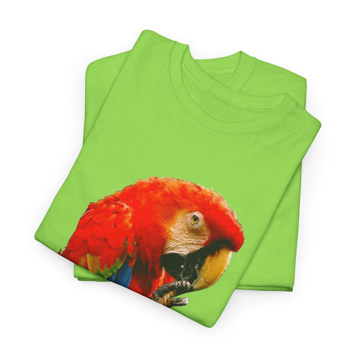Costa Rica Birds Graphic T Shirt Men's Retro  Heavy Cotton Tee