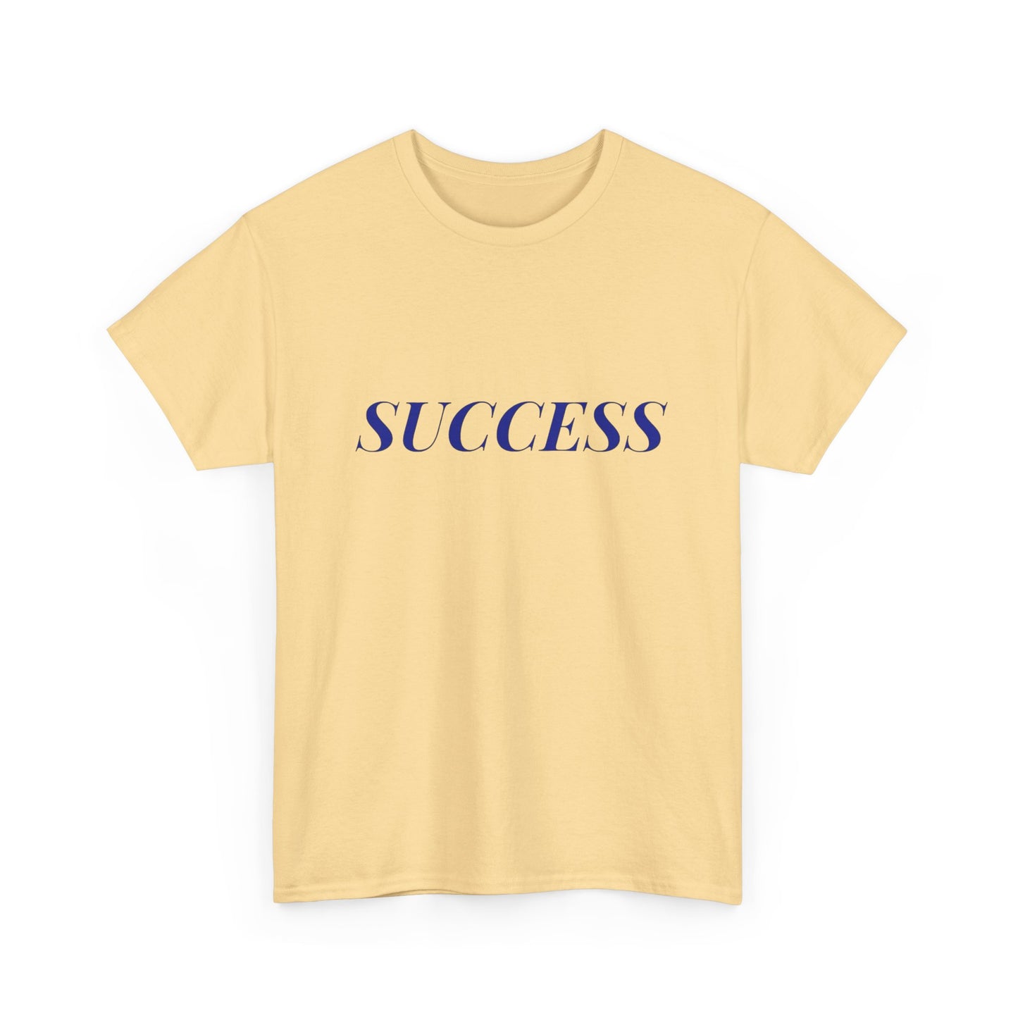 Success Graphic T Shirt NEW ADULT Tee