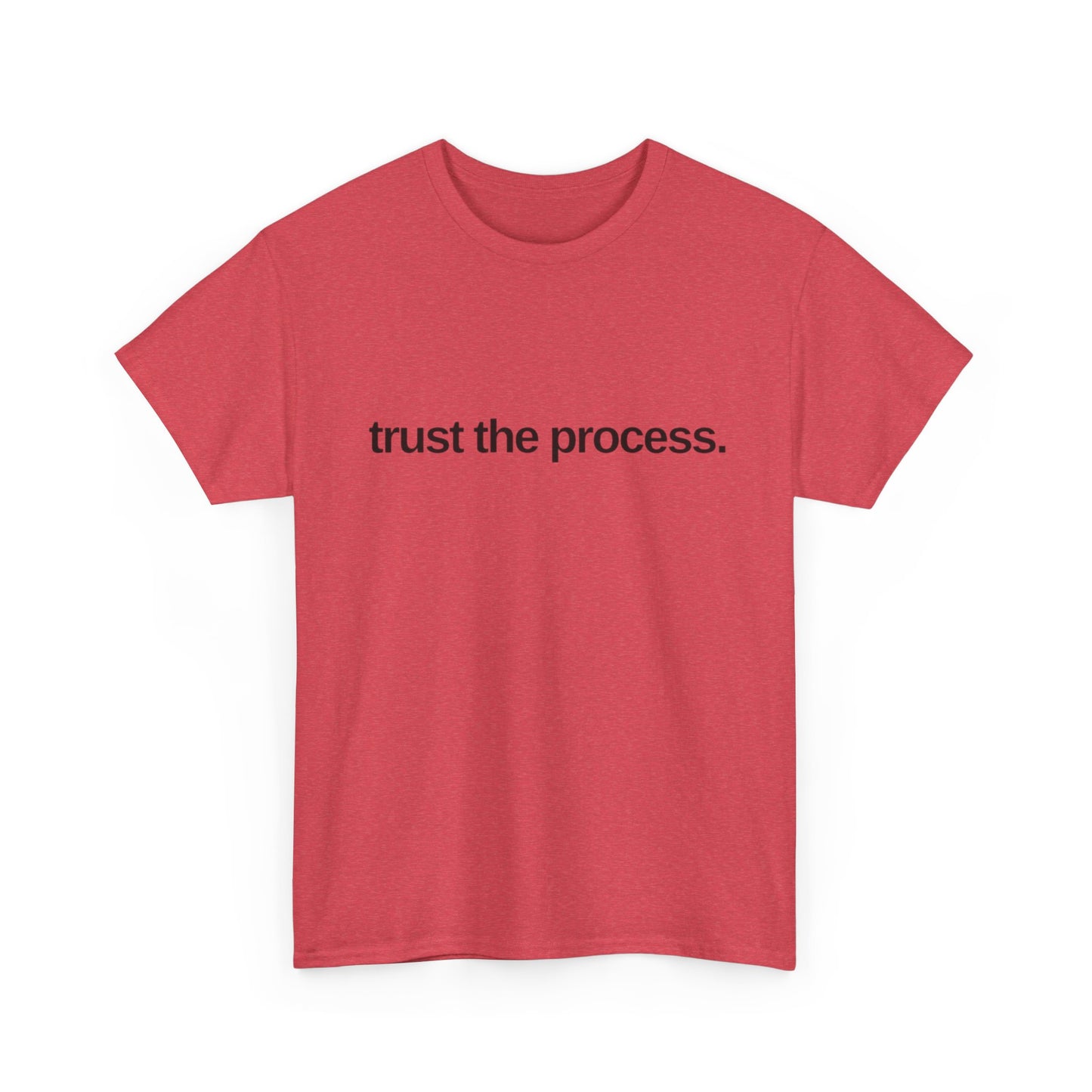 Trust The Process Graphic T Shirt NEW ADULT Tee