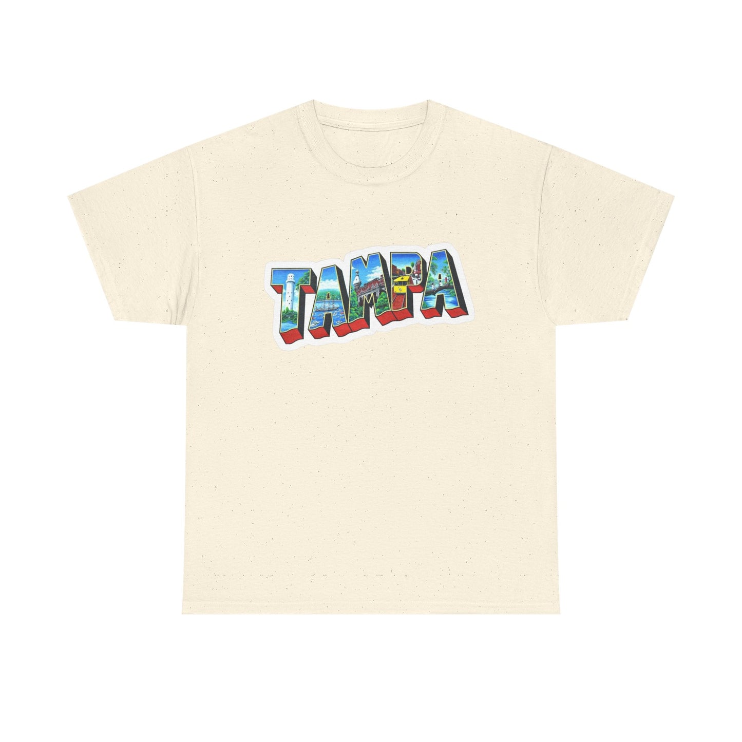 Tampa Bay FL Graphic T Shirt NEW ADULT