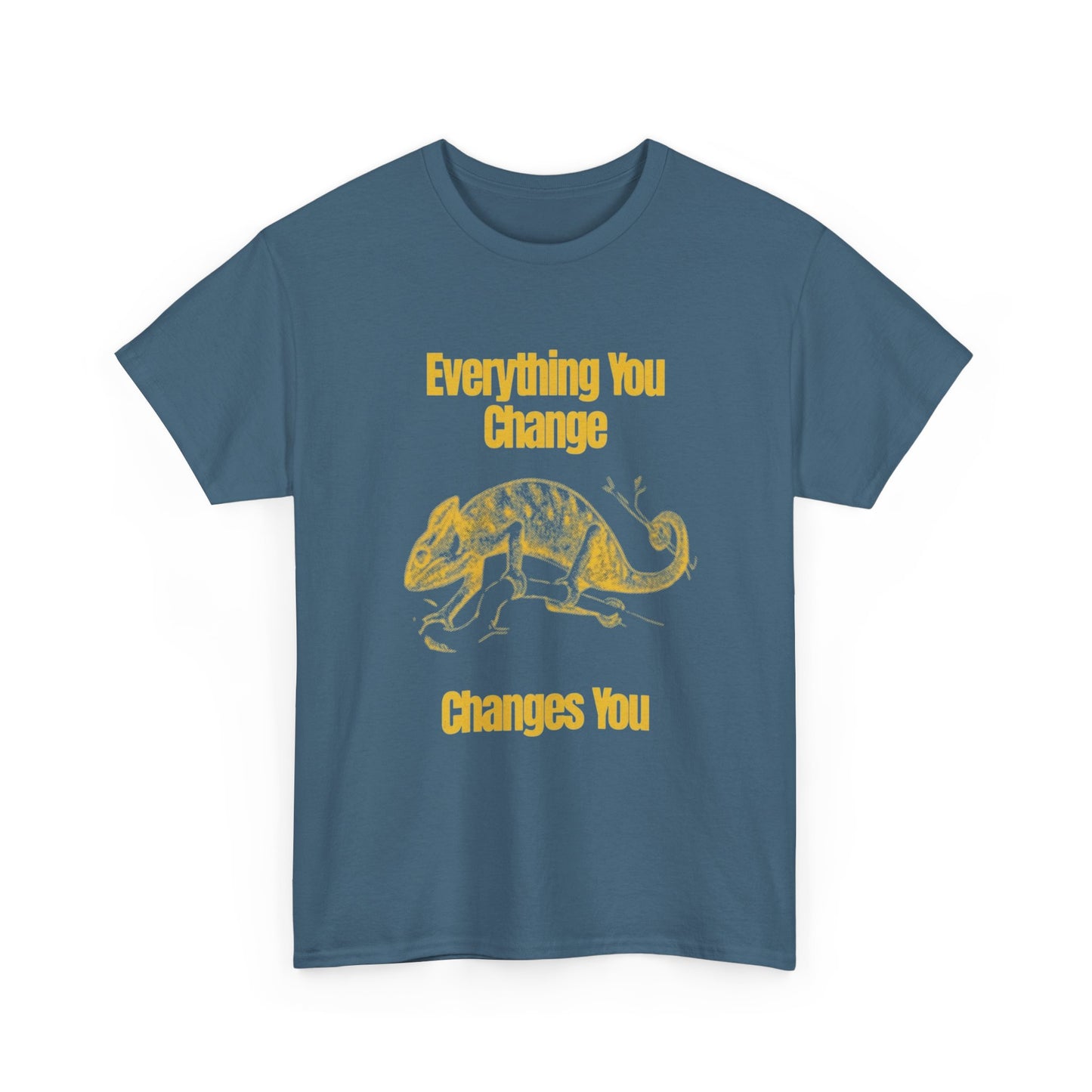 Everything You Change Changes You Graphic T Shirt Unisex Heavy Cotton Tee