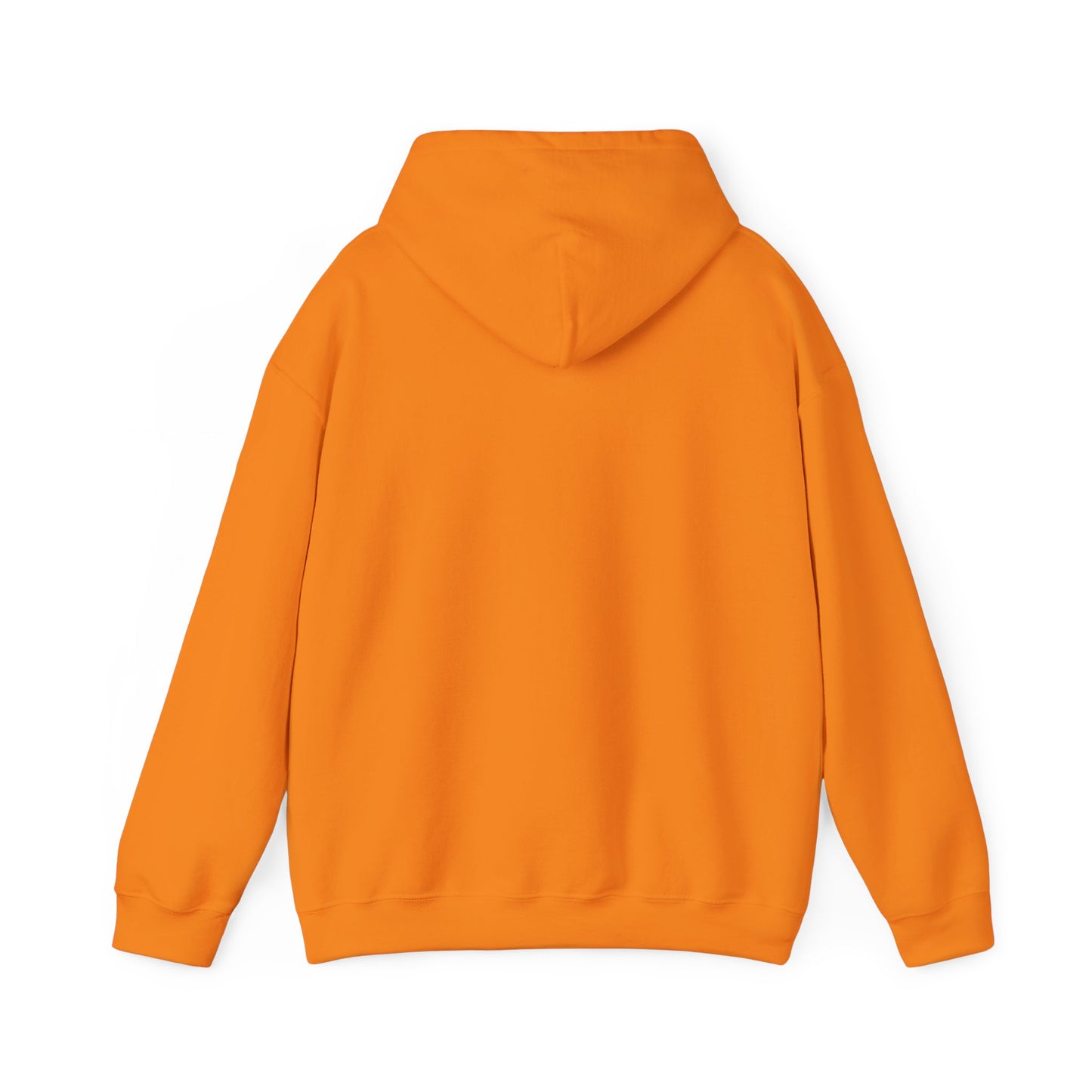 Palm Coast Graphic Hoodie Heavy Blend Sweatshirt NEW