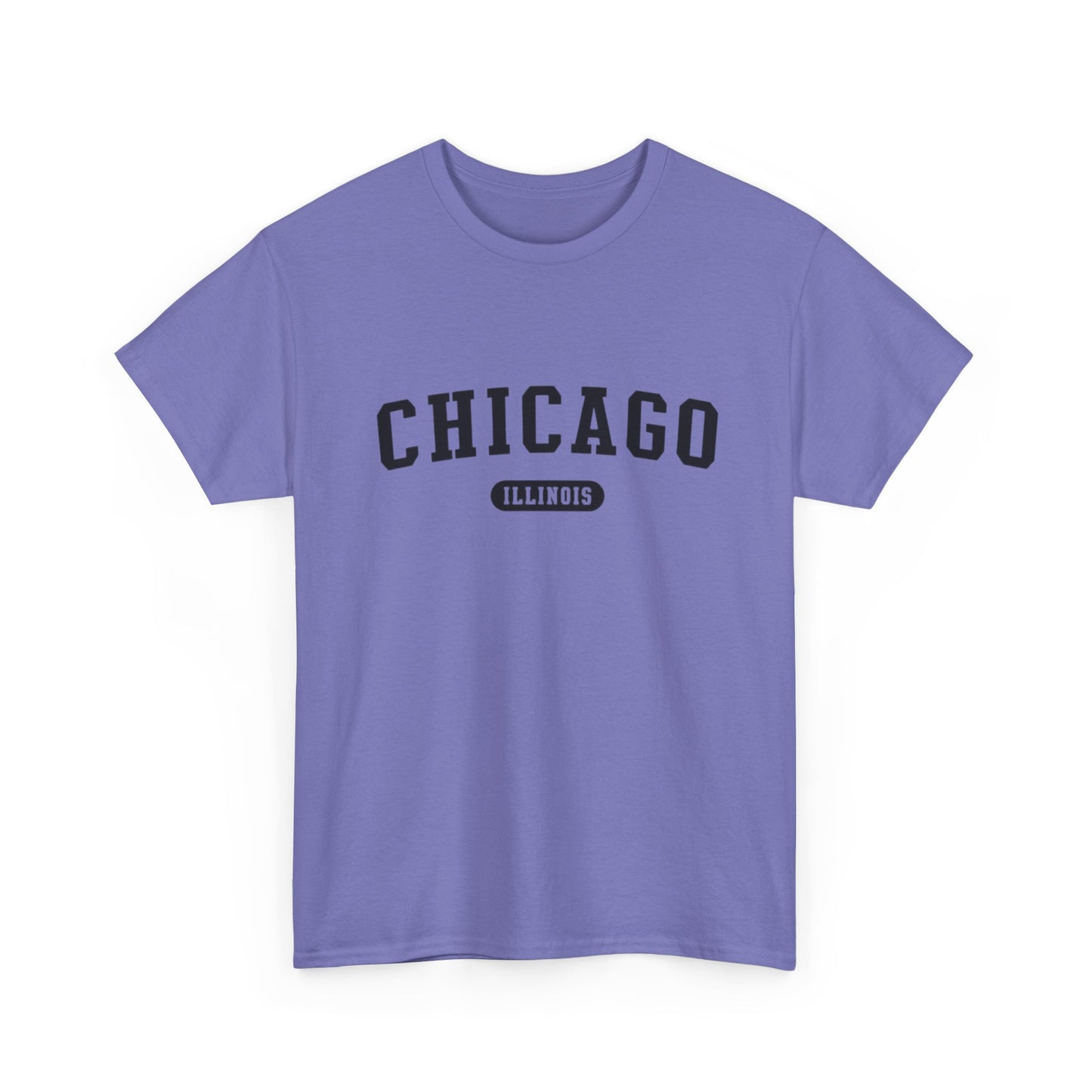 Chicago Illinois Graphic T Shirt ADULT NEW