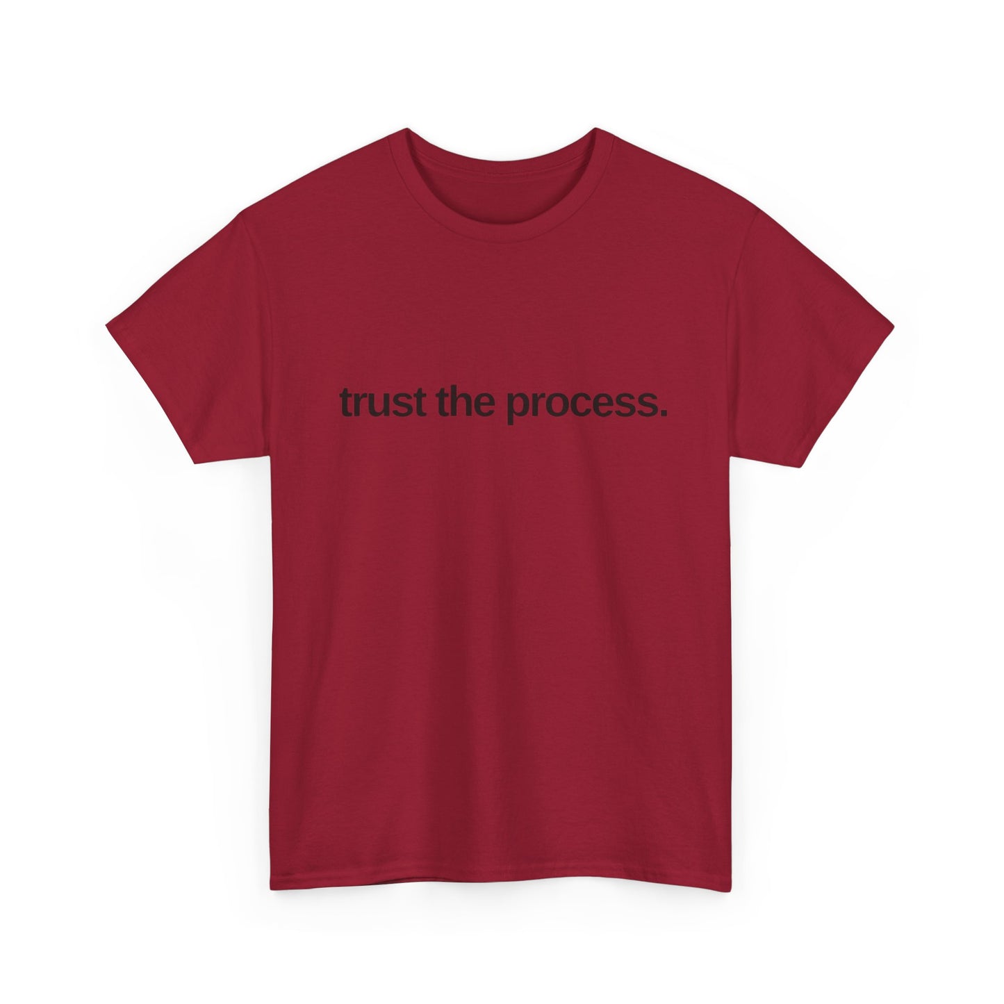 Trust The Process Graphic T Shirt NEW ADULT Tee