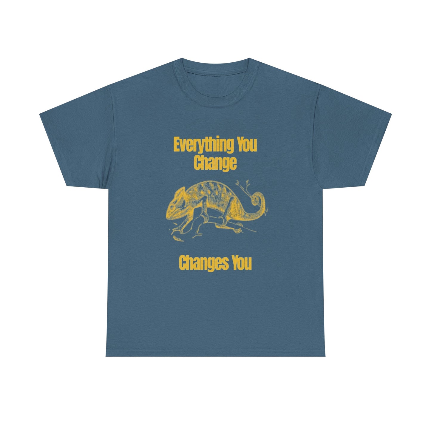 Everything You Change Changes You Graphic T Shirt Unisex Heavy Cotton Tee