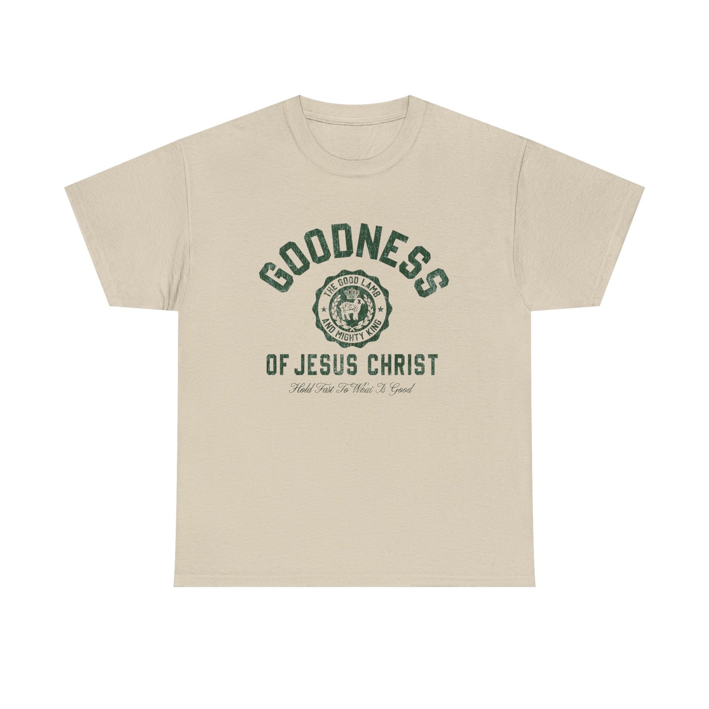 Goodness Of Jesus Christ Graphic T Shirt ADULT NEW