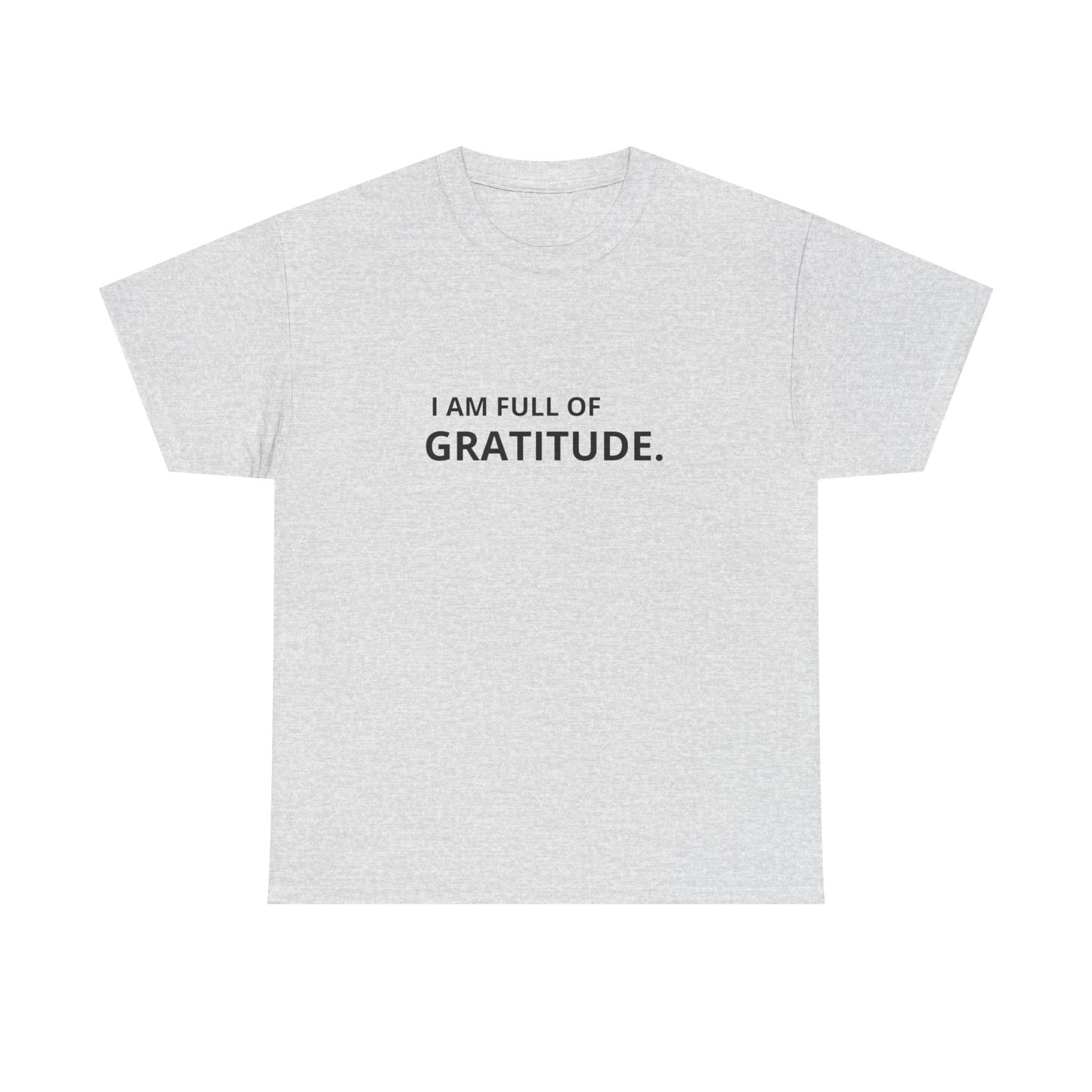 I Am Full Of Gratitude Graphic T Shirt NEW ADULT Tee