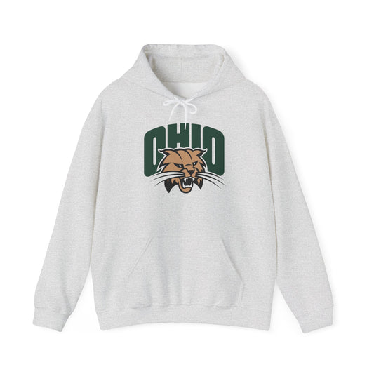 Ohio State Graphic Hoodie Unisex Heavy Blend™ Hooded Sweatshirt