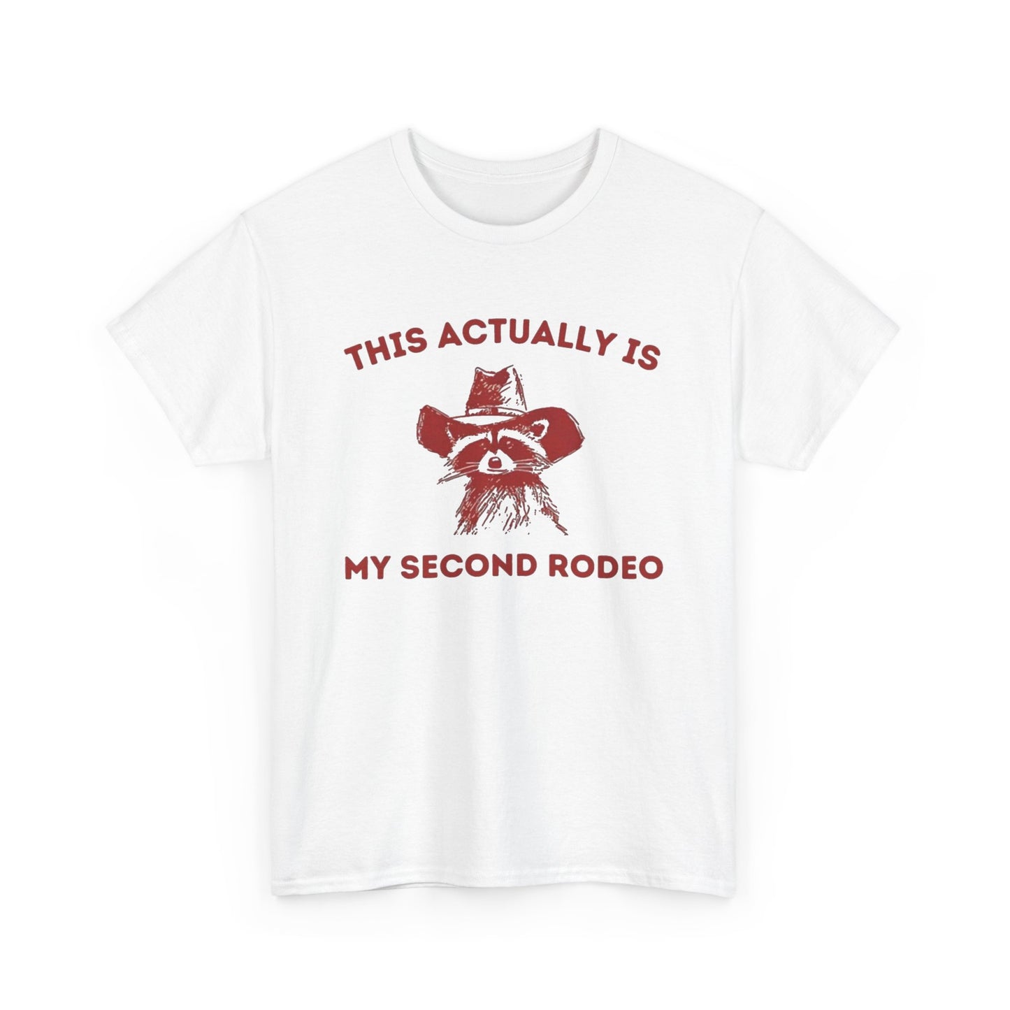 This Is My Second Rodeo Funny Graphic T Shirt Regular Men's Heavy Cotton Tee