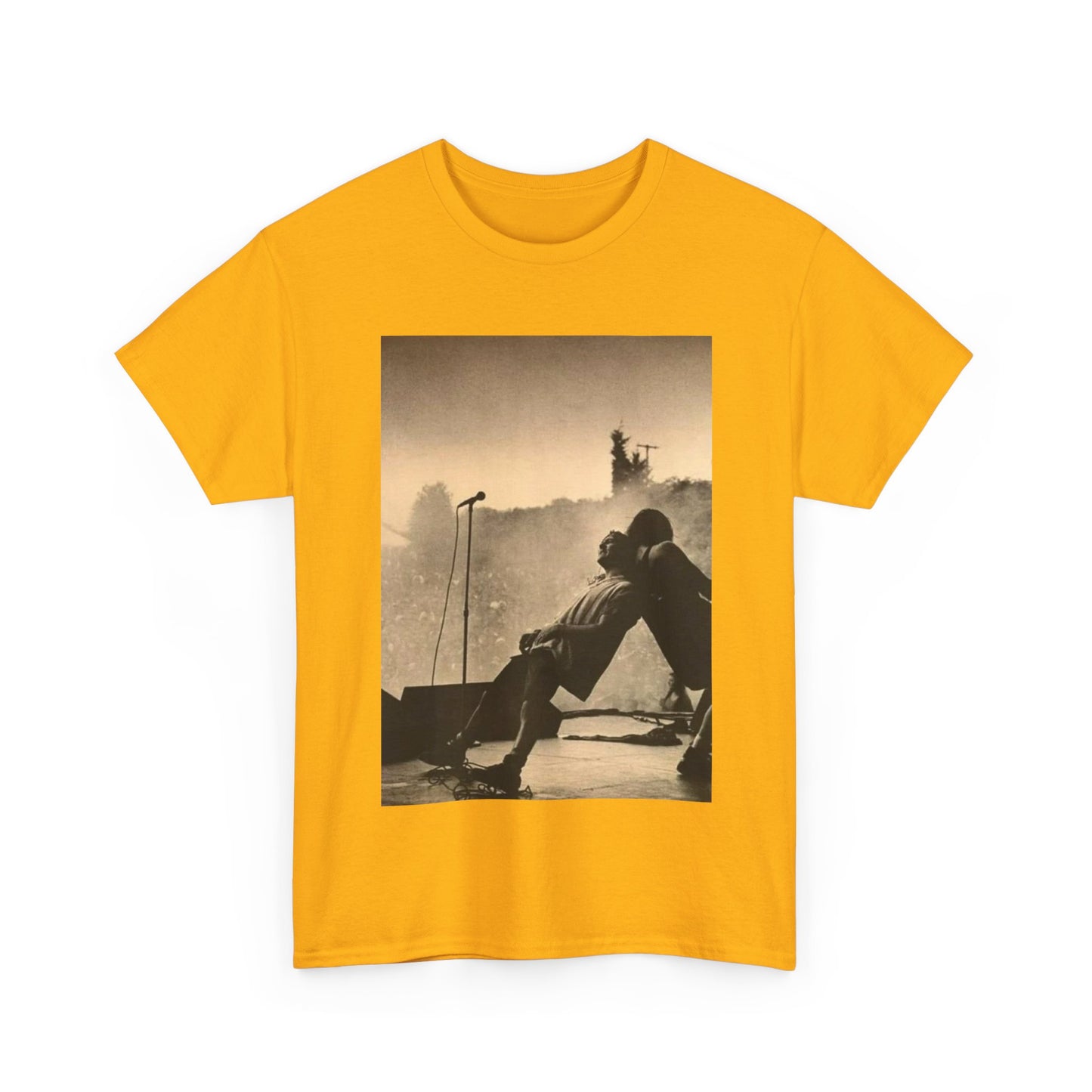 Pearl Jam TShirt vintage grunge stage  photo Unisex Heavy Cotton Tee OFFICIAL