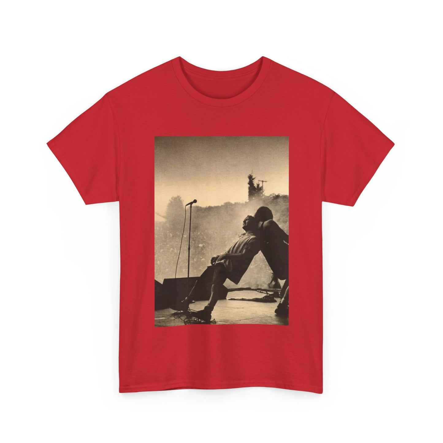 Pearl Jam TShirt vintage grunge stage  photo Unisex Heavy Cotton Tee OFFICIAL